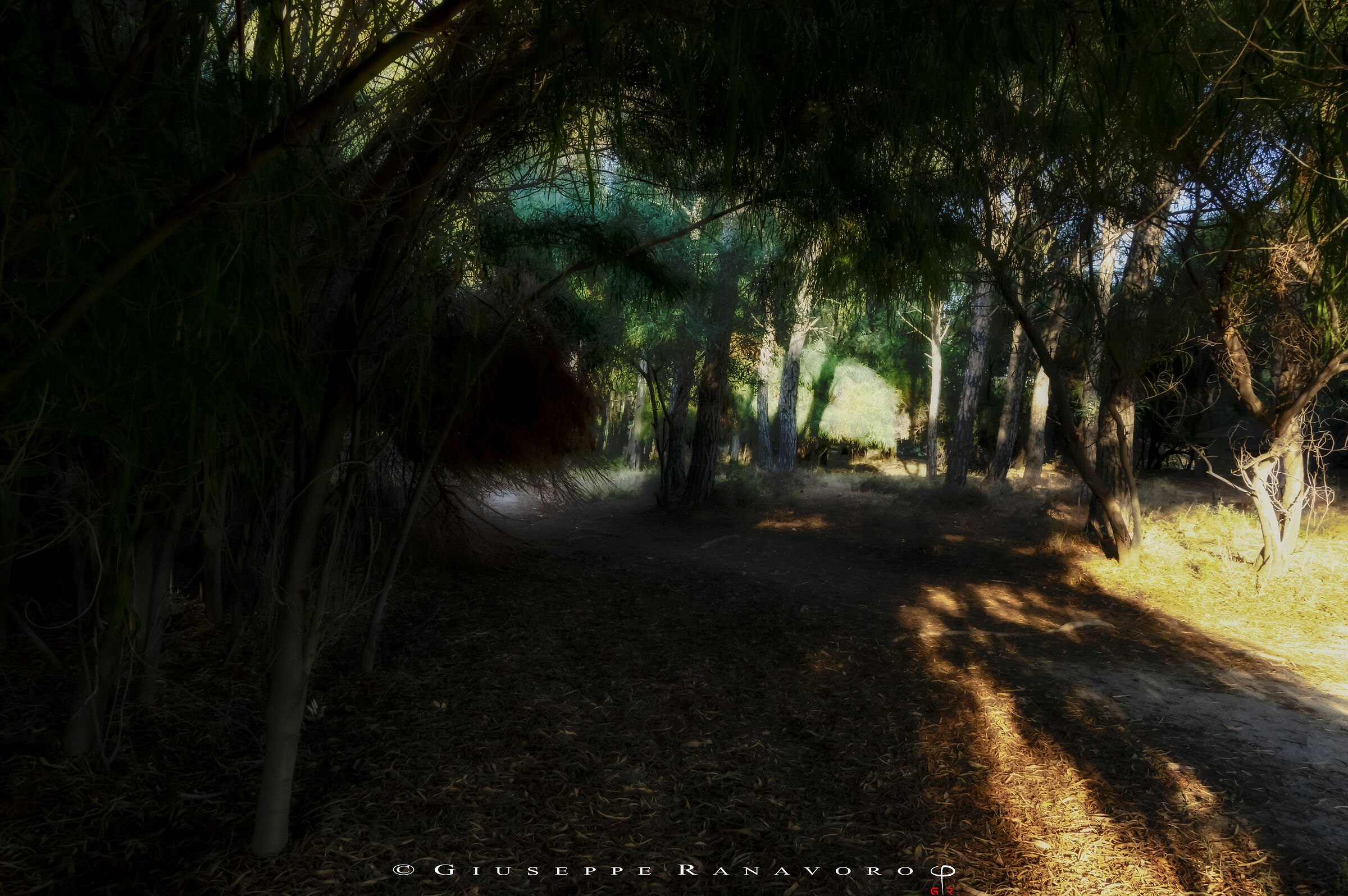 Untitled Photo