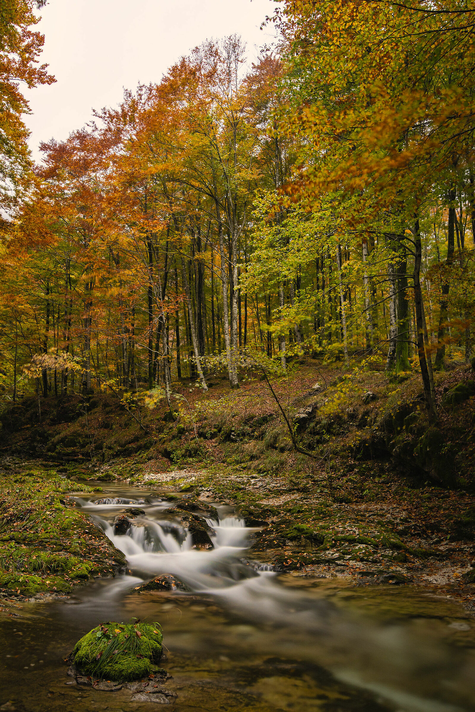 In arrivo l'autunno 2