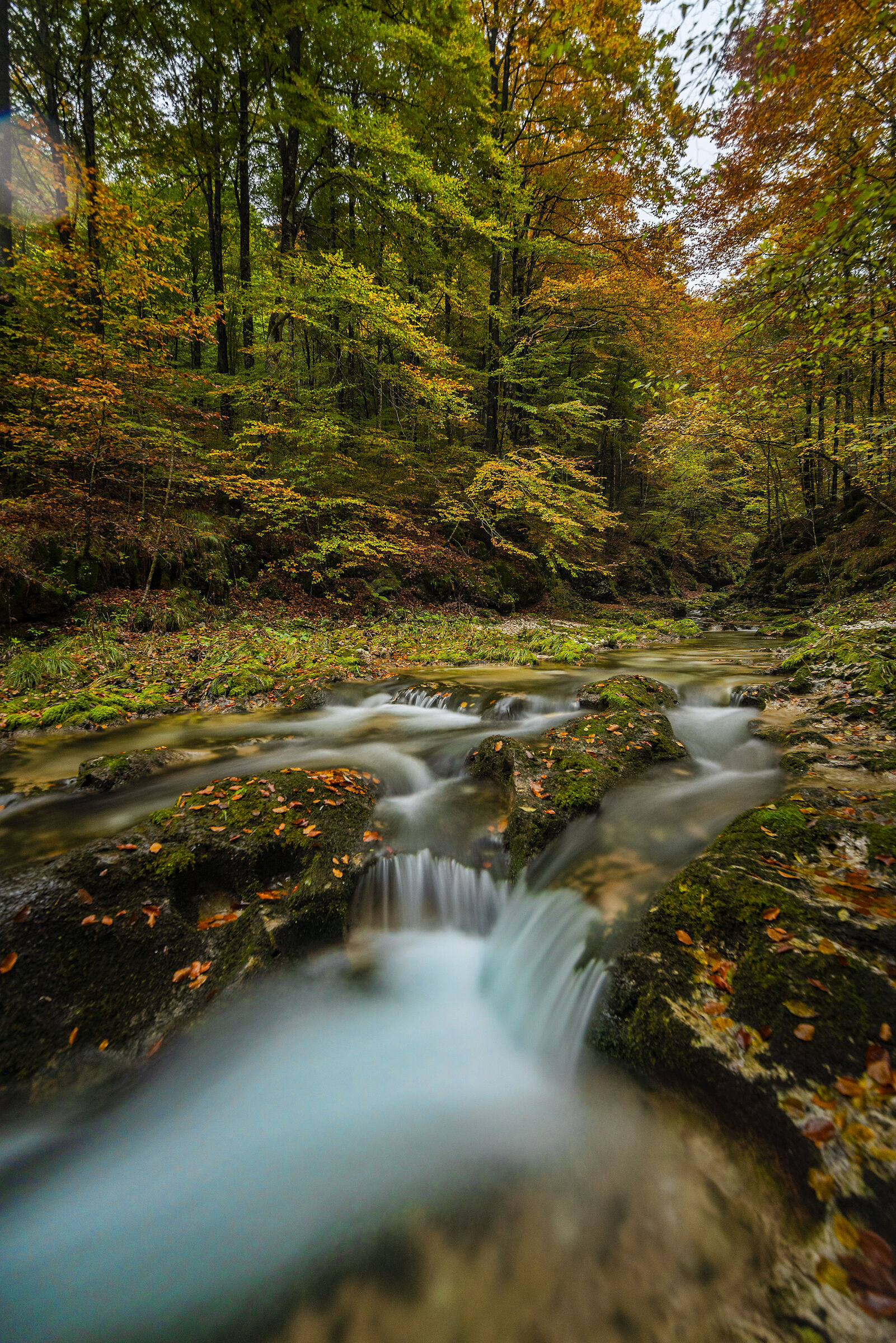In arrivo l'autunno 3
