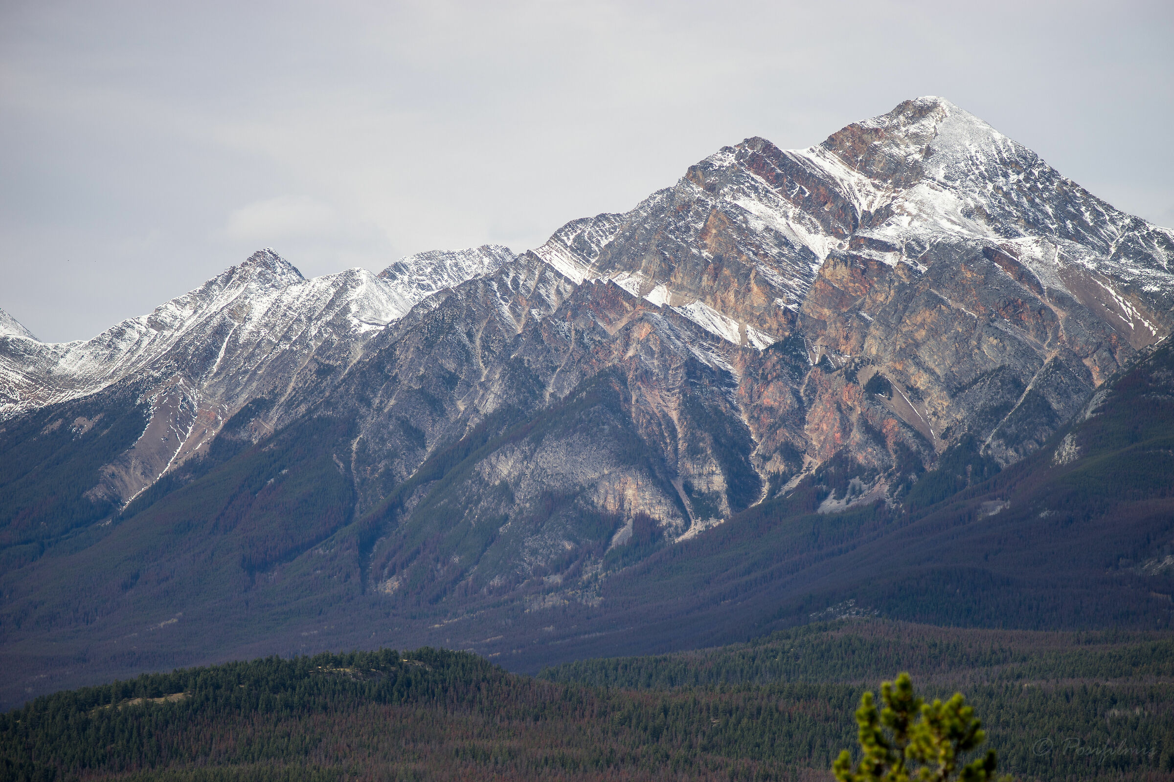 Japser Alberta canada