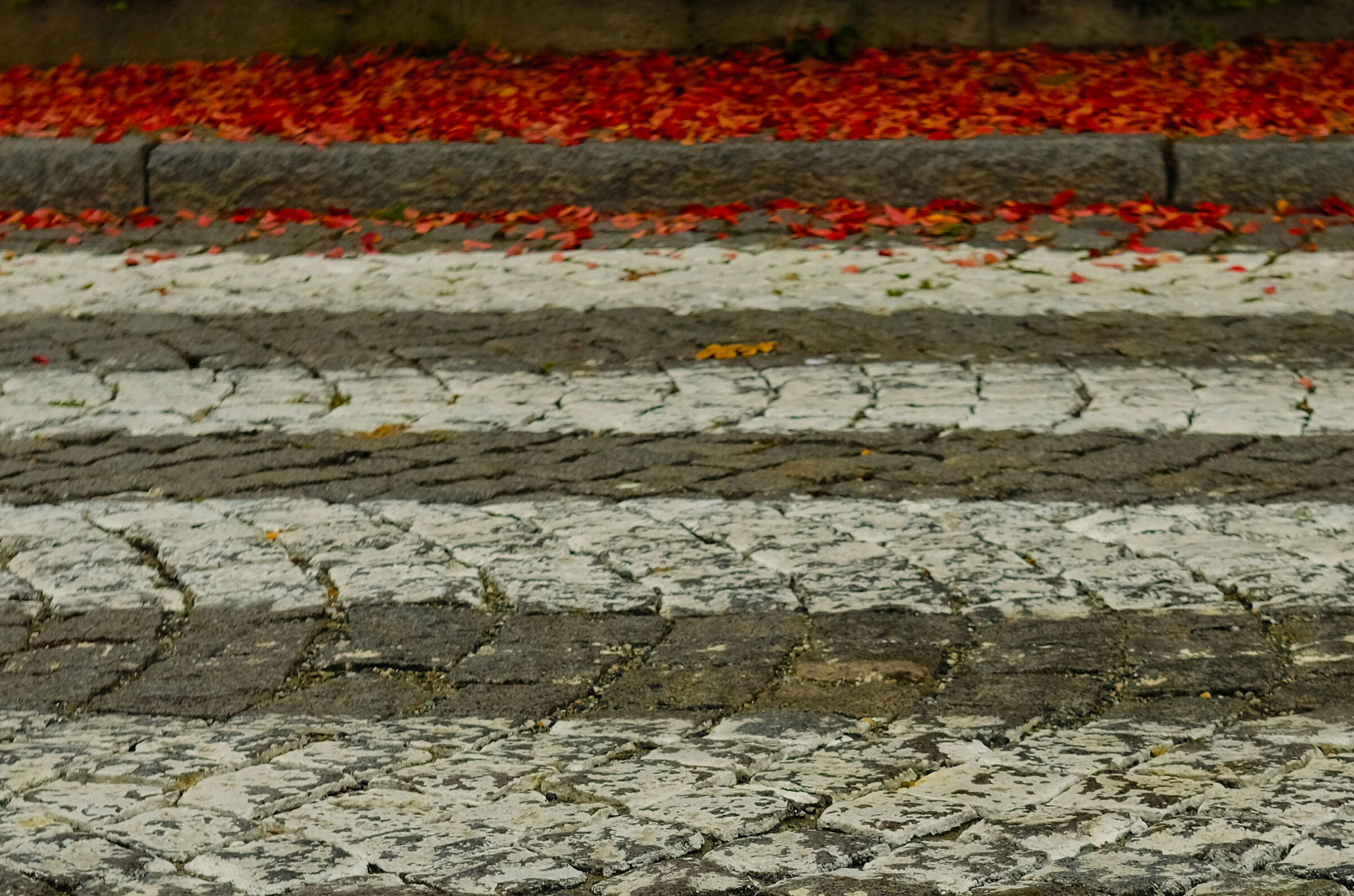 l' autunno oltre la strada