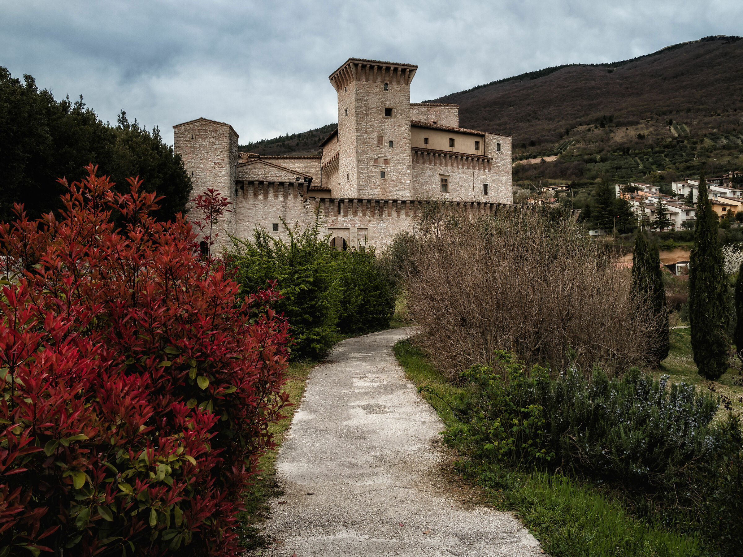 Rocca Flea