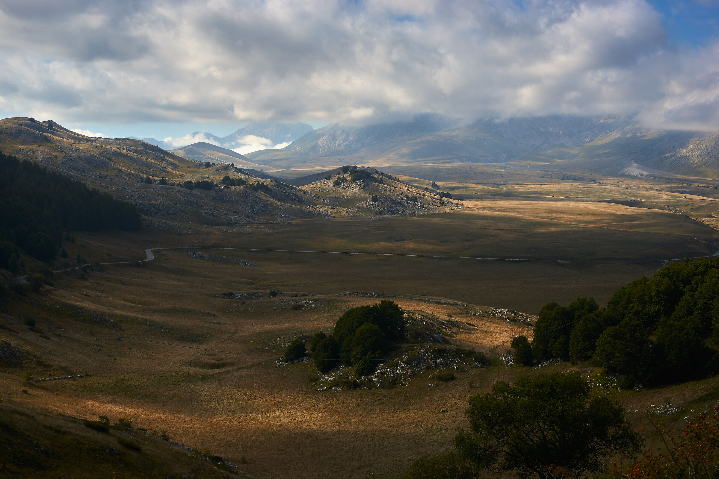 View of Emperor Field