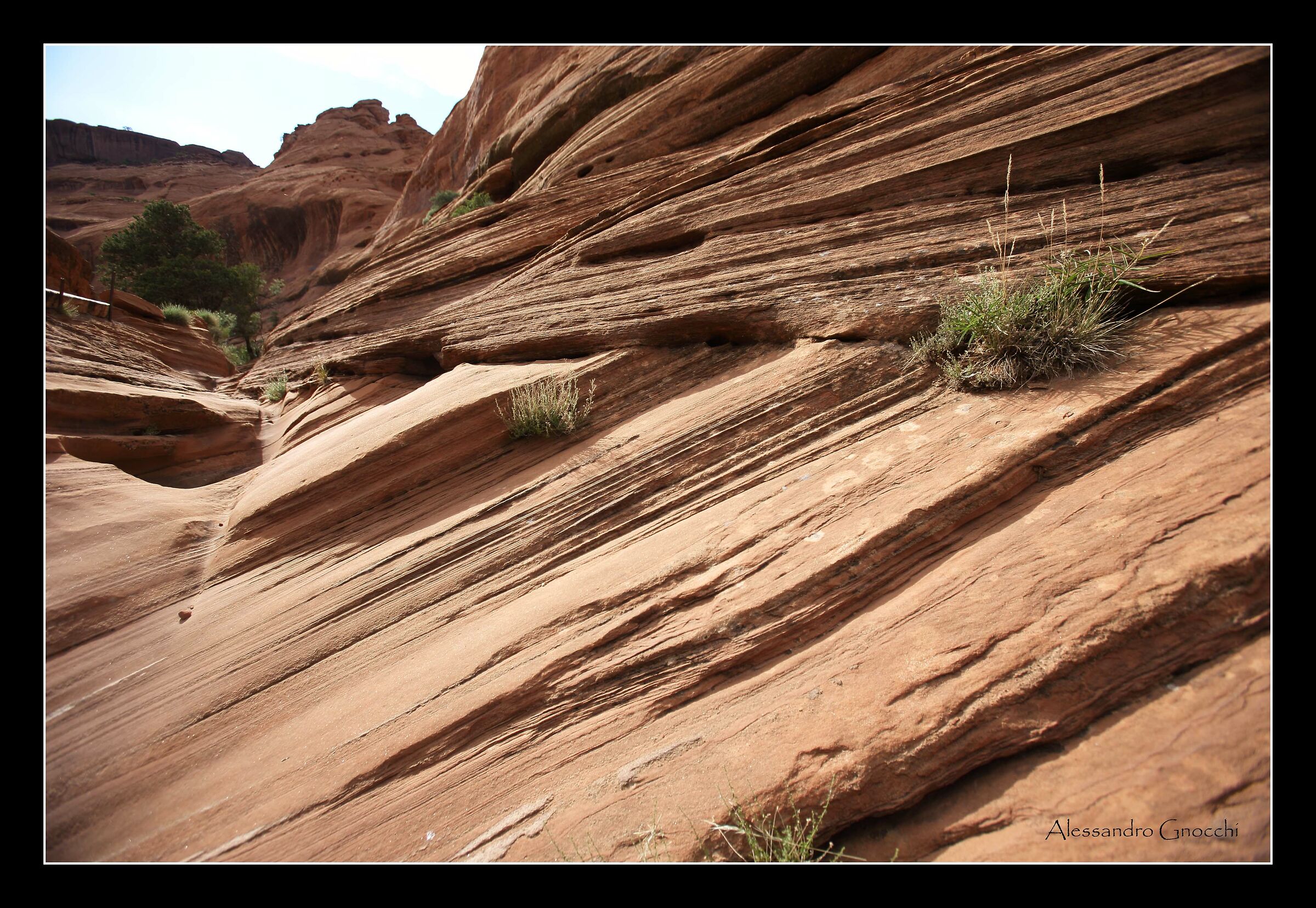 Canyon de Chelly - dettaglio