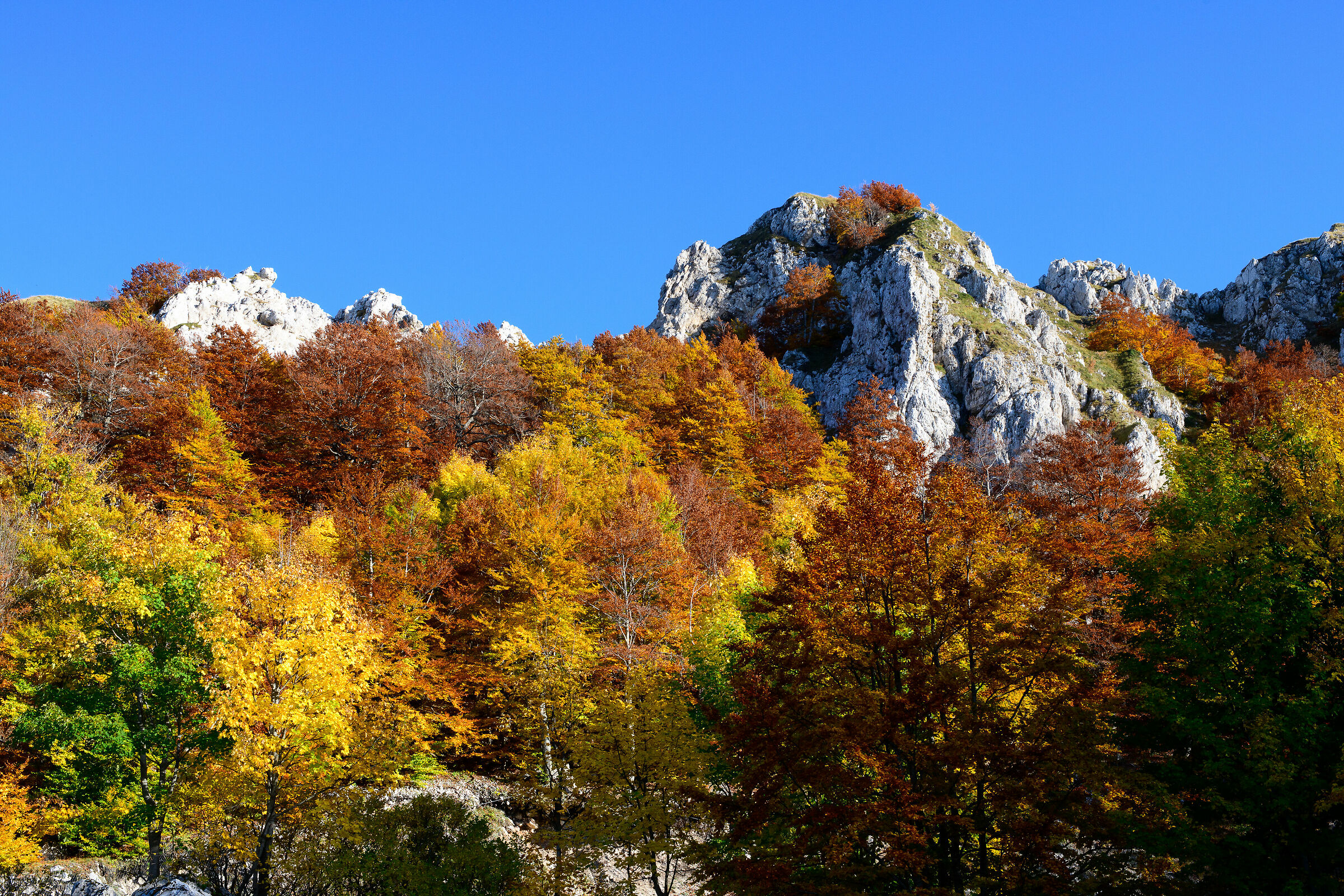 Autumn Colors 2019