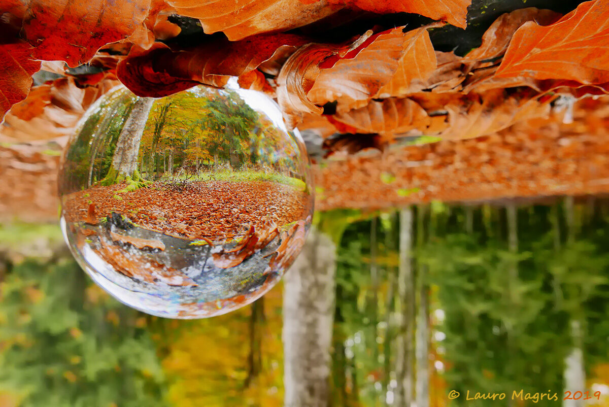 Autumn in a sphere