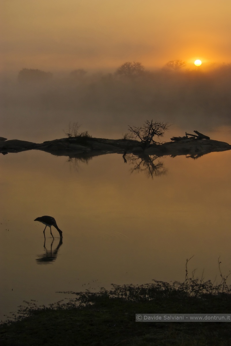 Transport Dam - Kruger NP