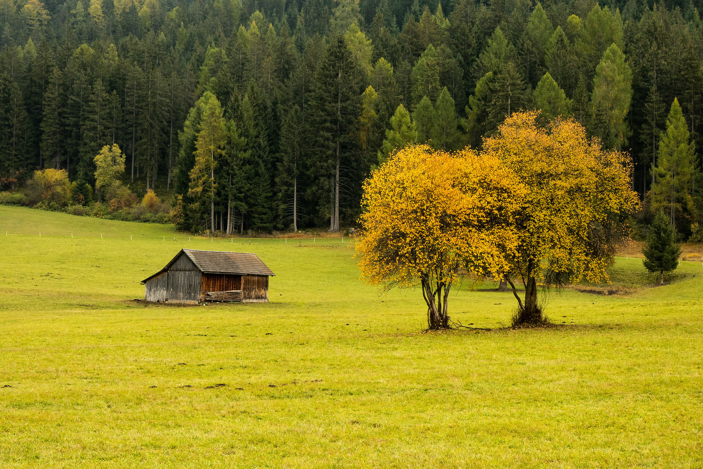 autunno sulle dolomiti
