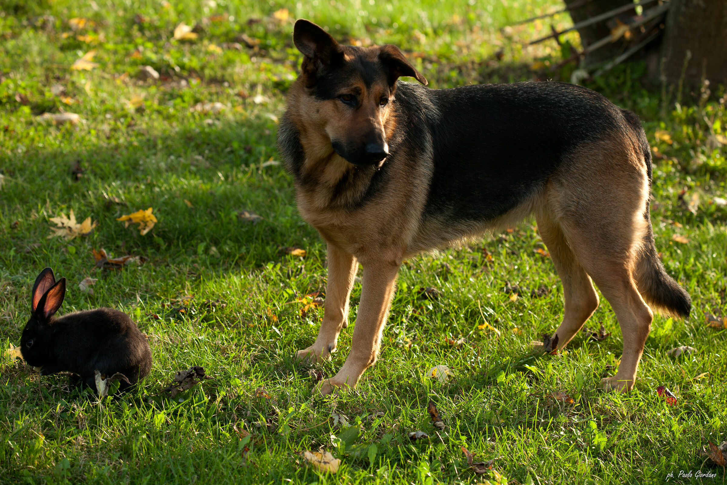 woe to those who touch my friend!