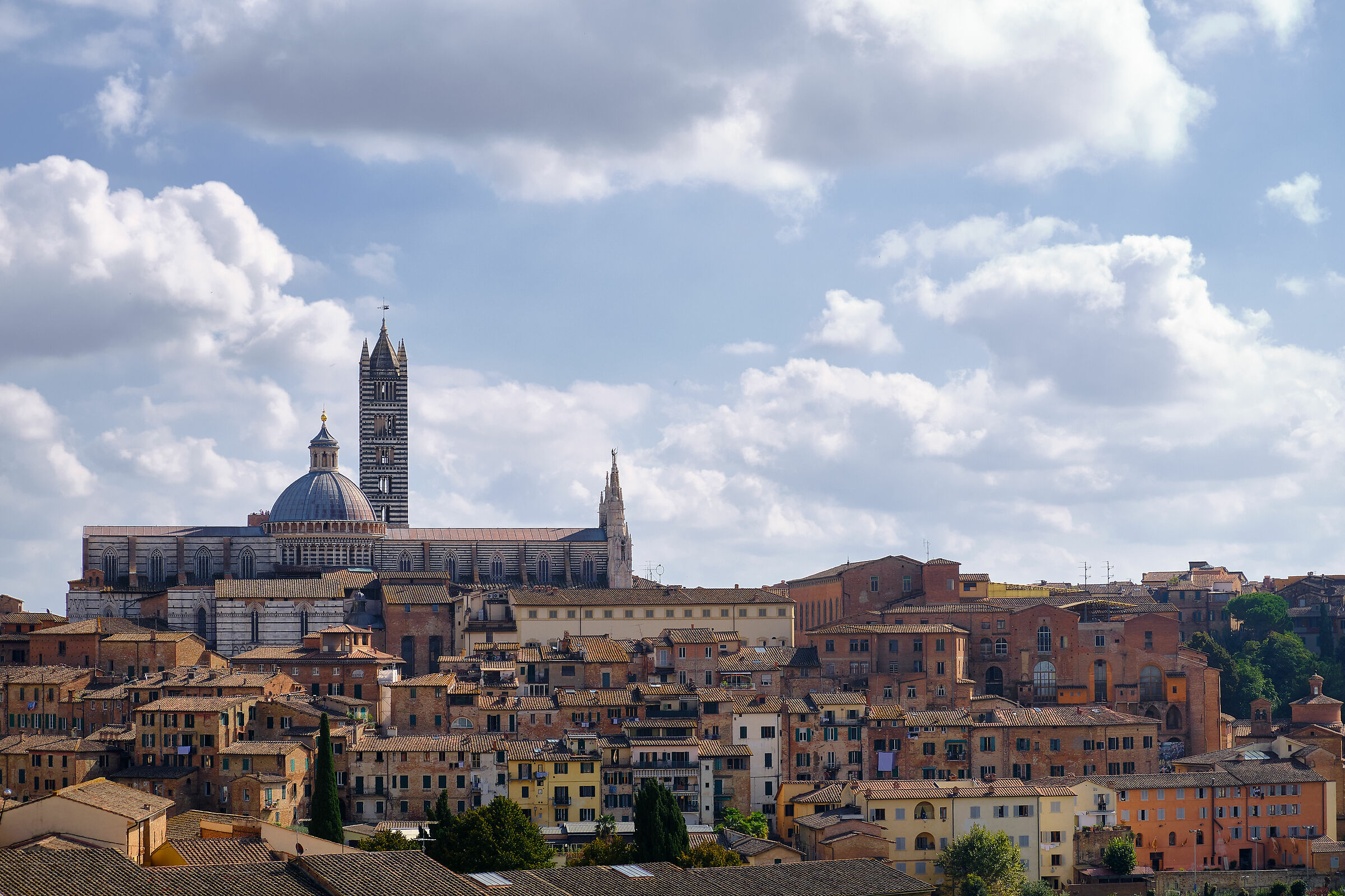 Siena as seen from the Medici Fortress