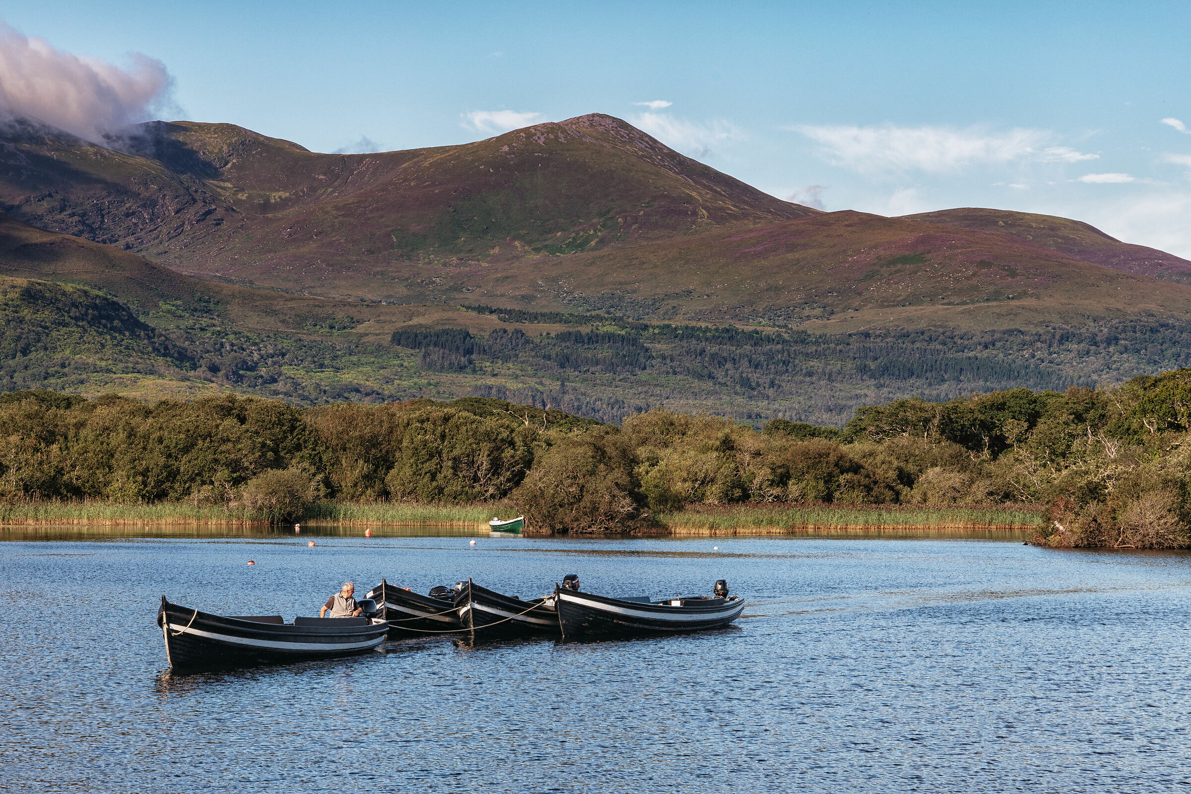 killarney national park
