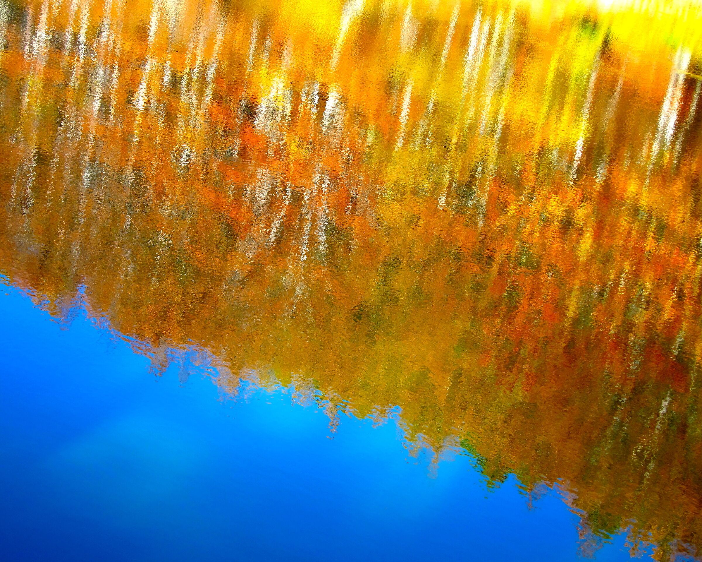 Autunno nel lago