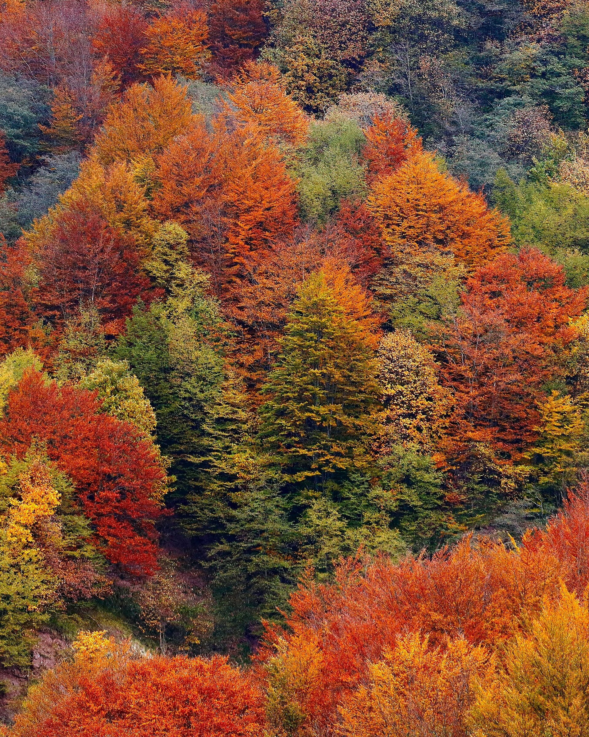 The substance of autumn