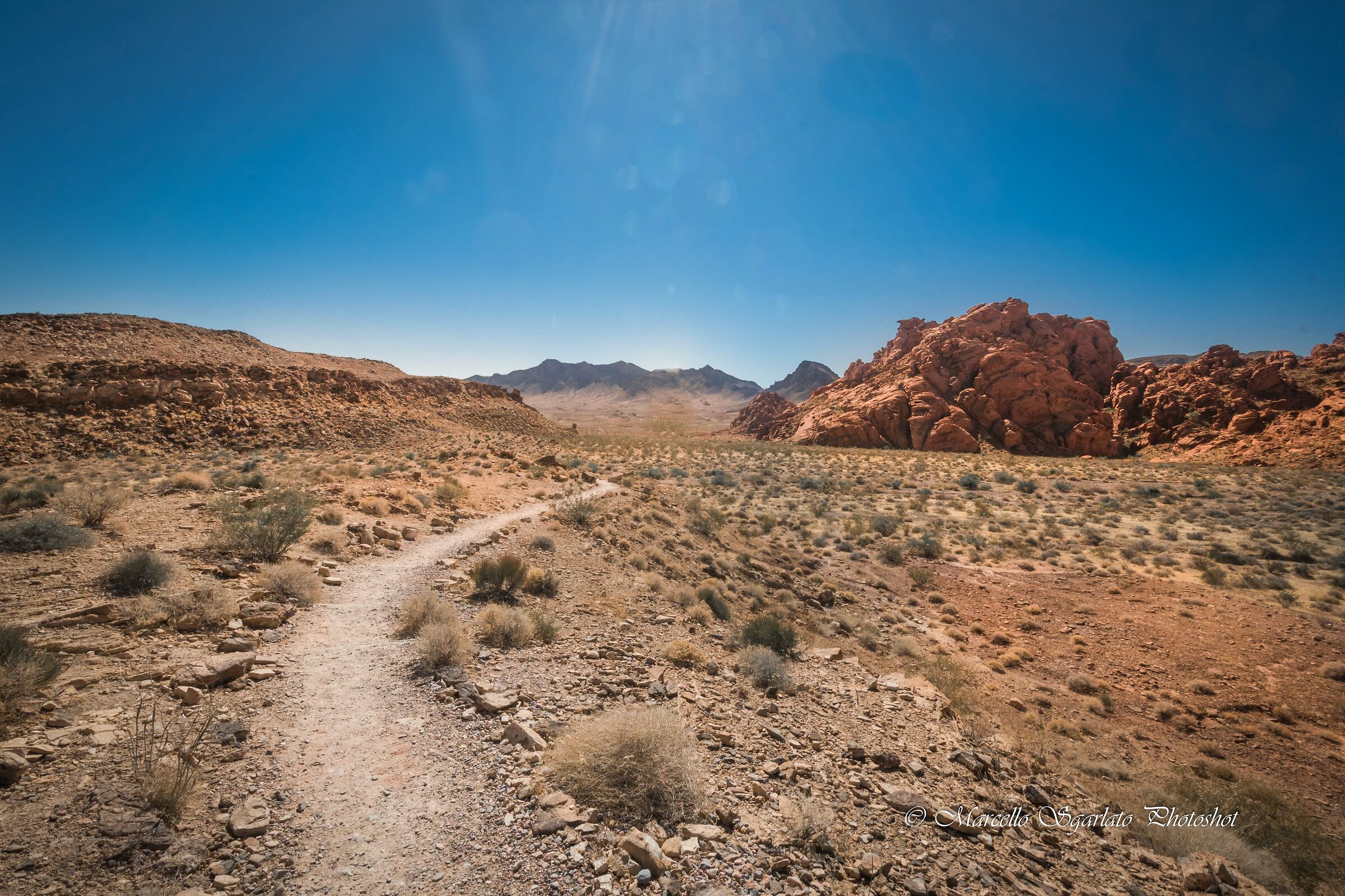 Vai dove ti porta...il sentiero