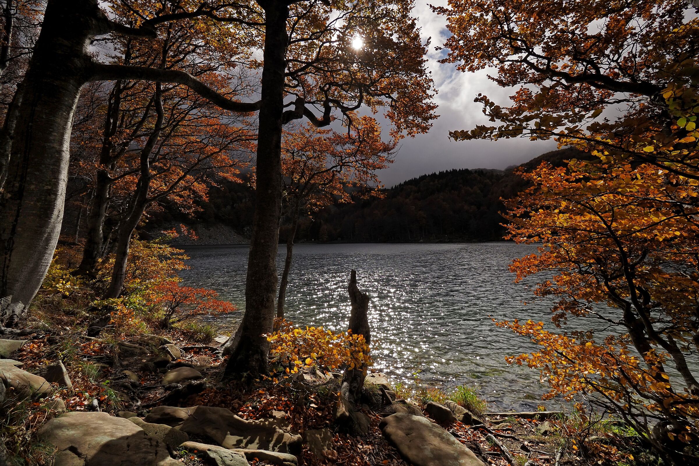La luce del fotografo