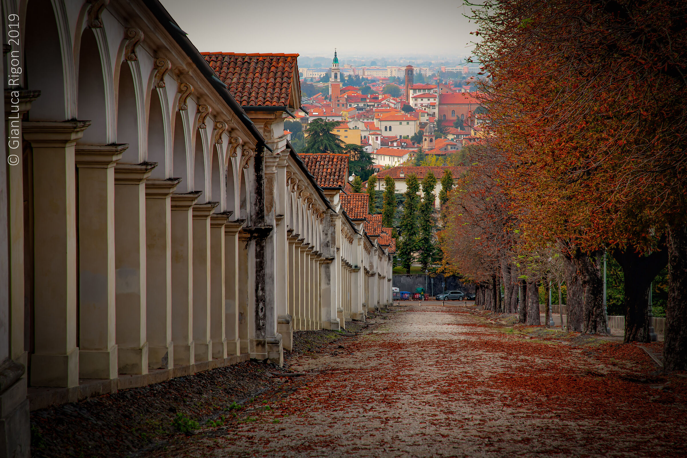 Autumn in Monte Berico
