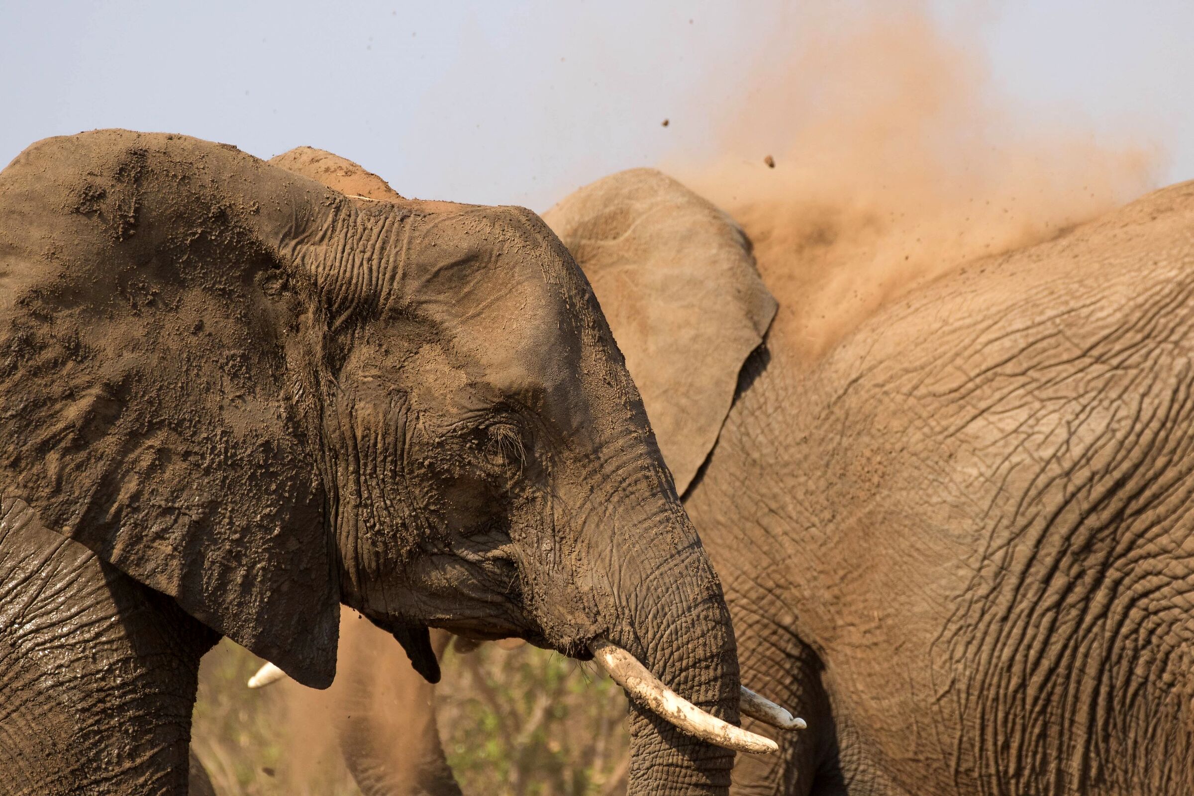 A touch of powder and we're ready...