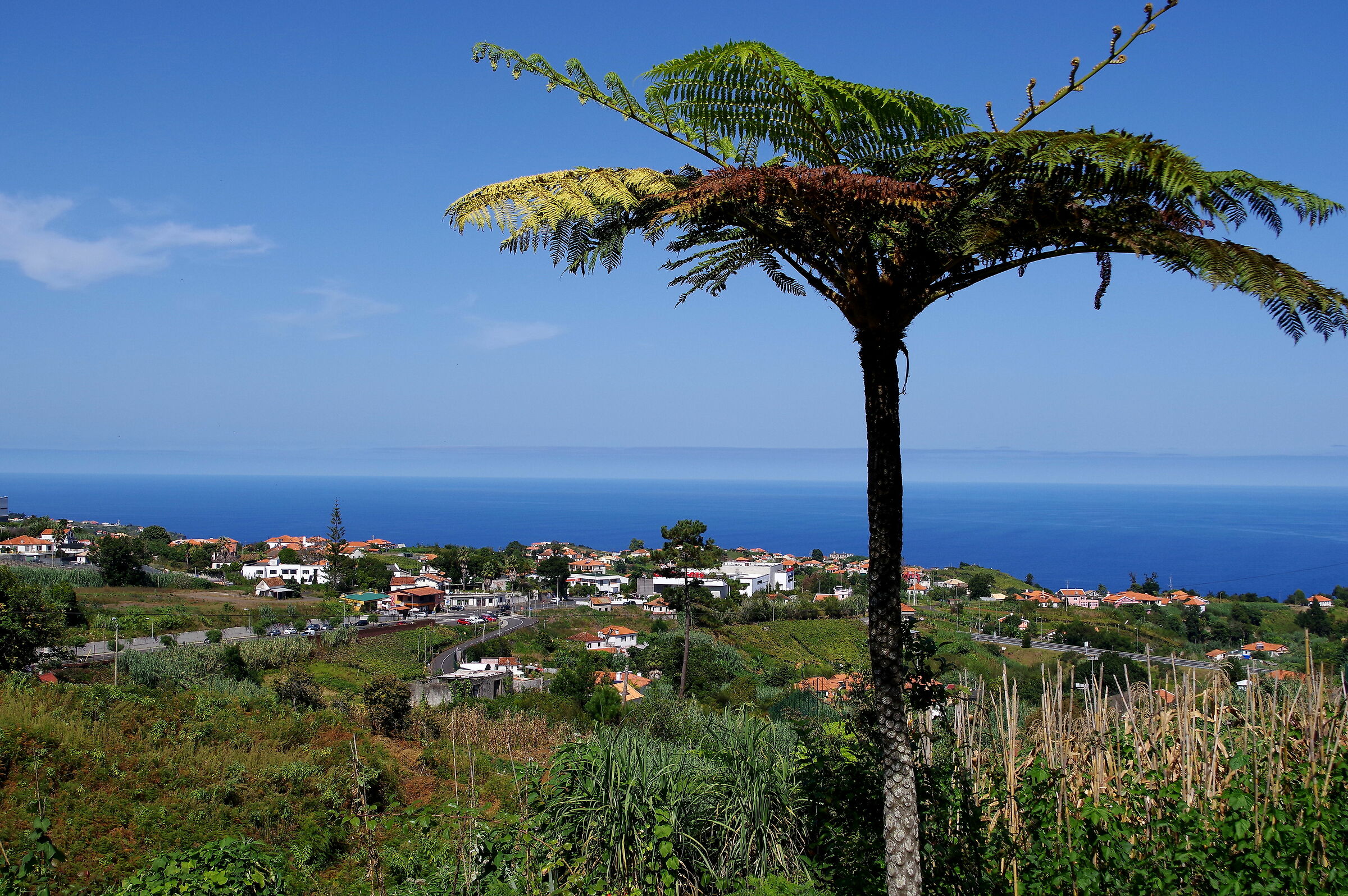 paesaggio di Madeira