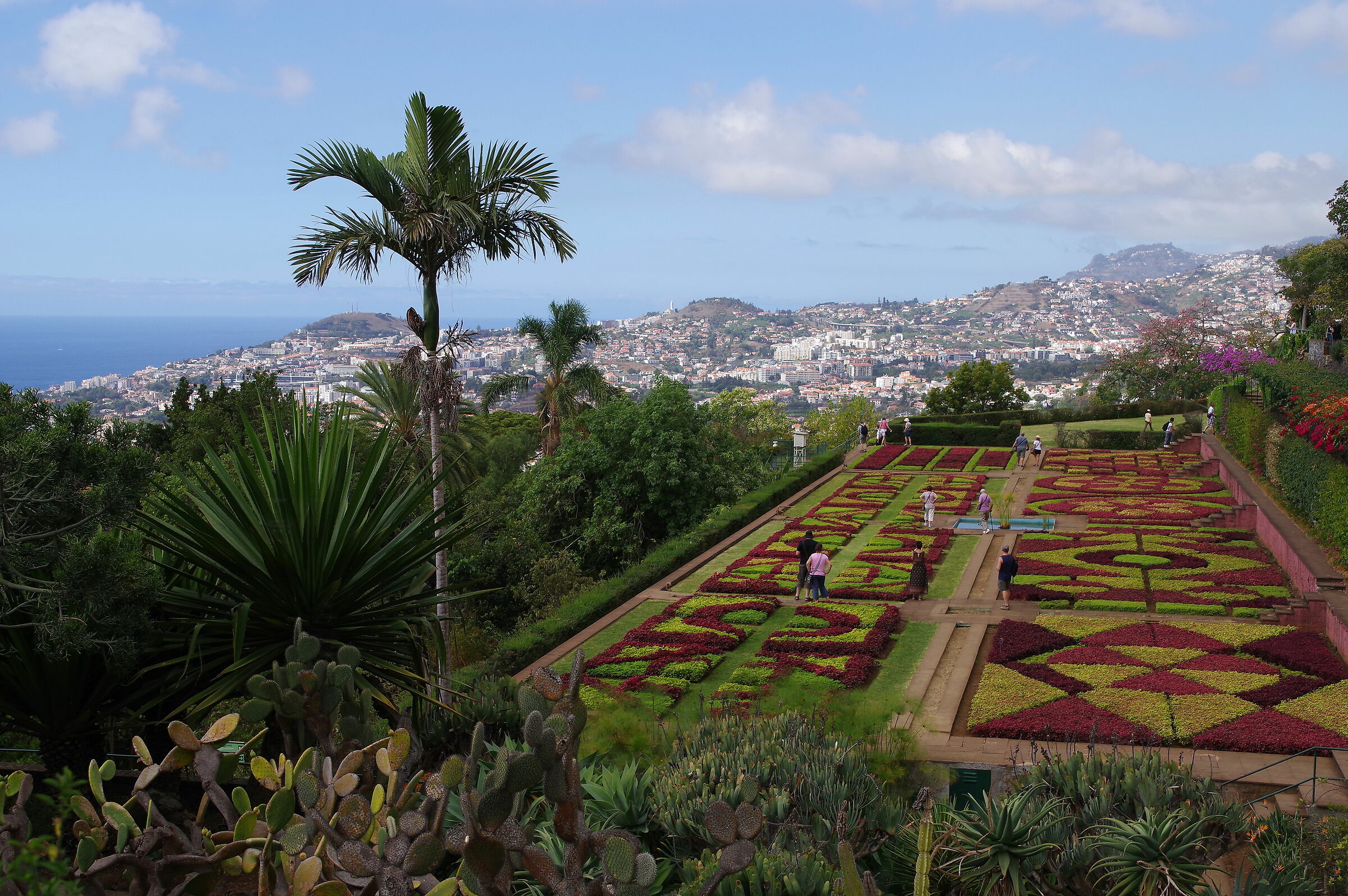 Botanical Garden in Funchal (Madeira)