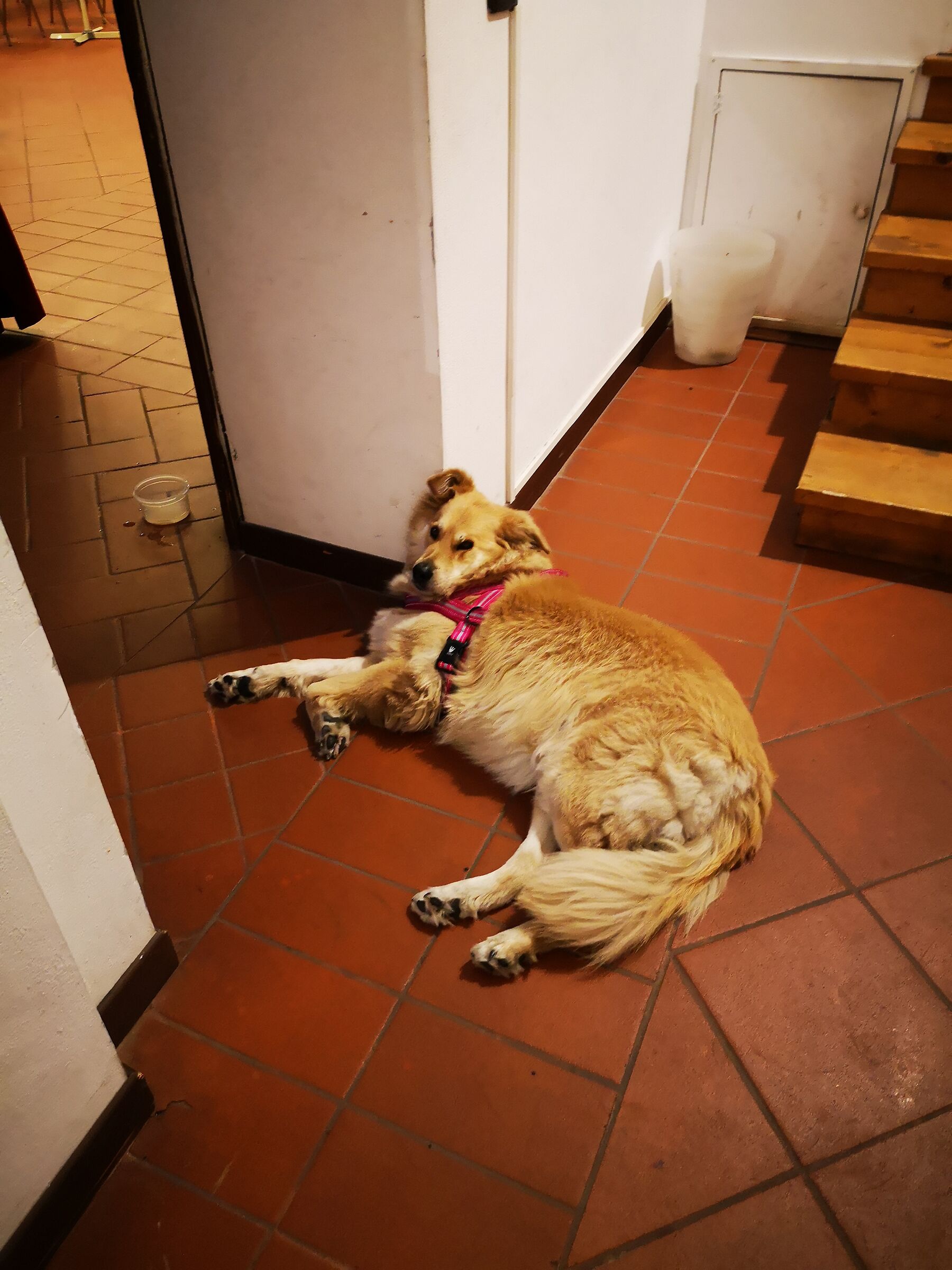 Lilla dopo una mattinata intera di prove di canto