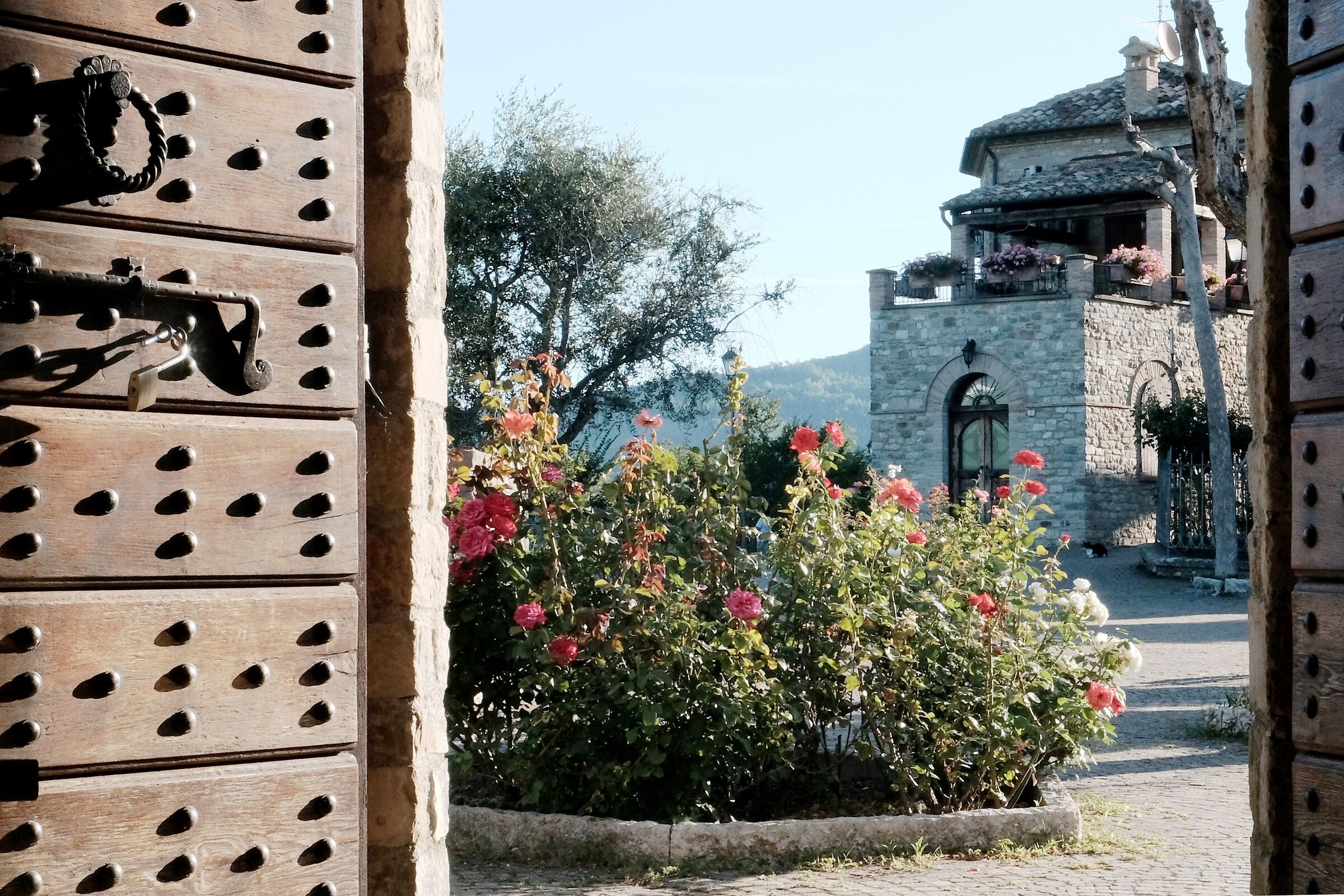 Cartolina da Frontino