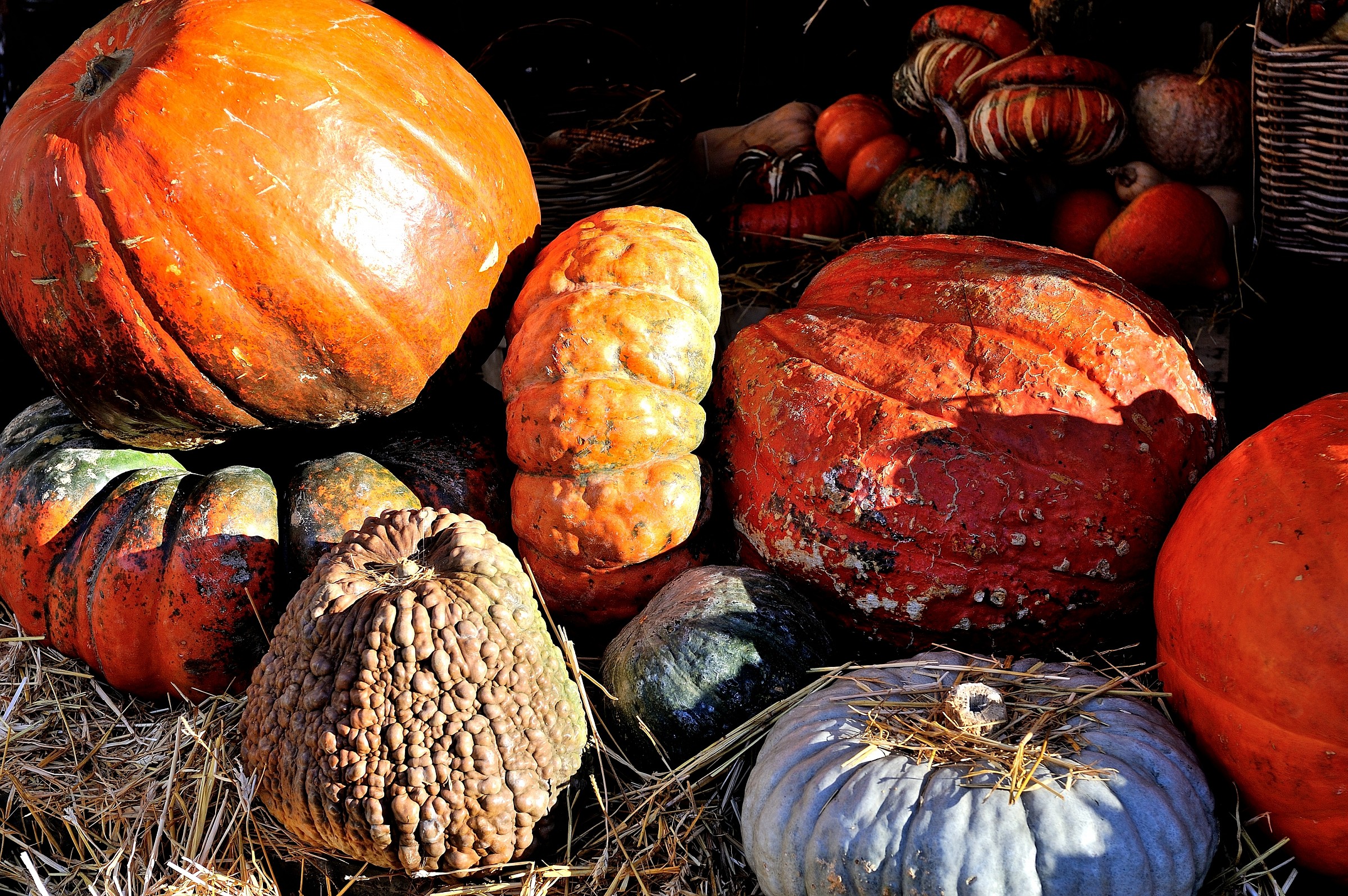 Roma-Zucche a Campo dè Fiori