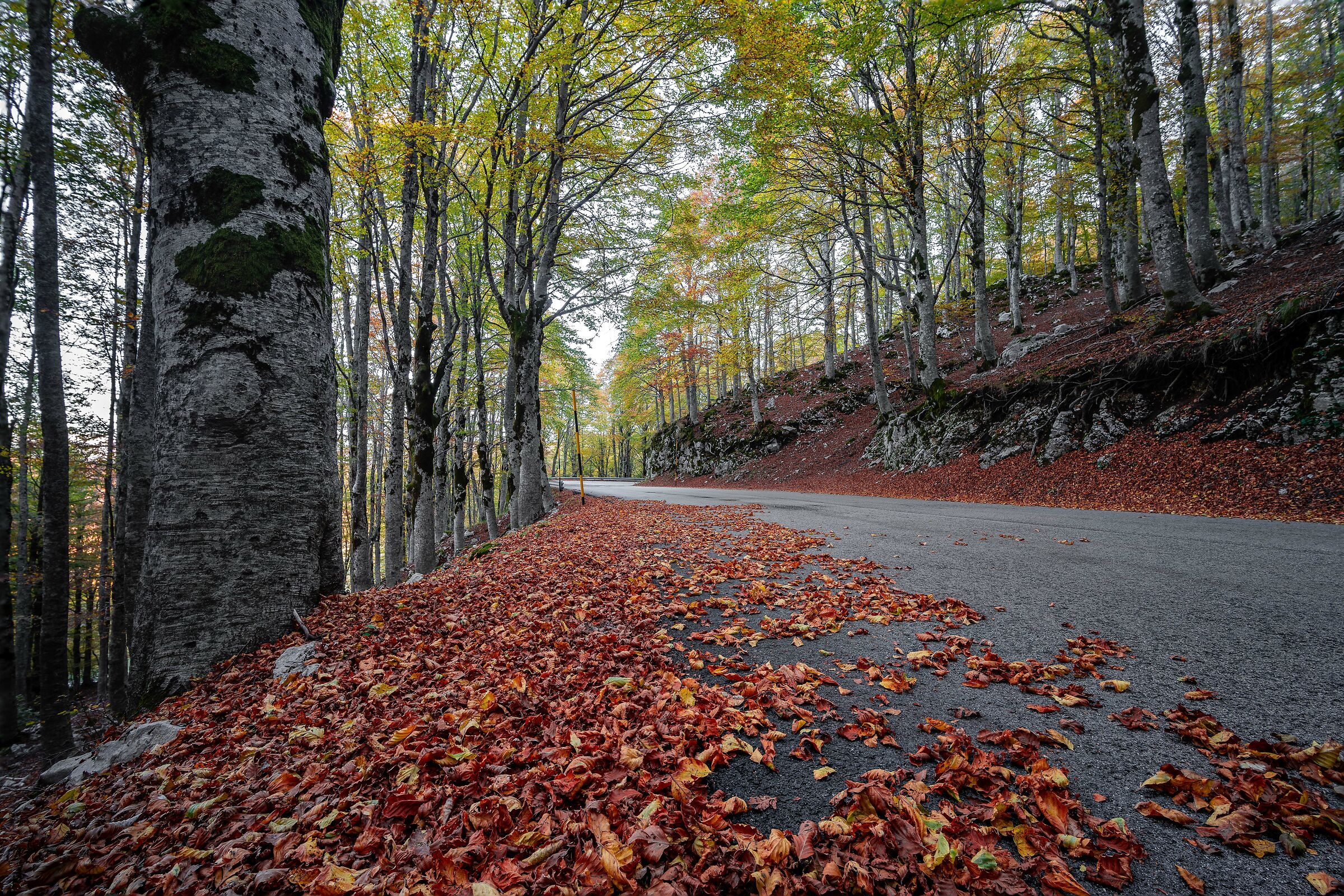 Road To Forca d'Acero