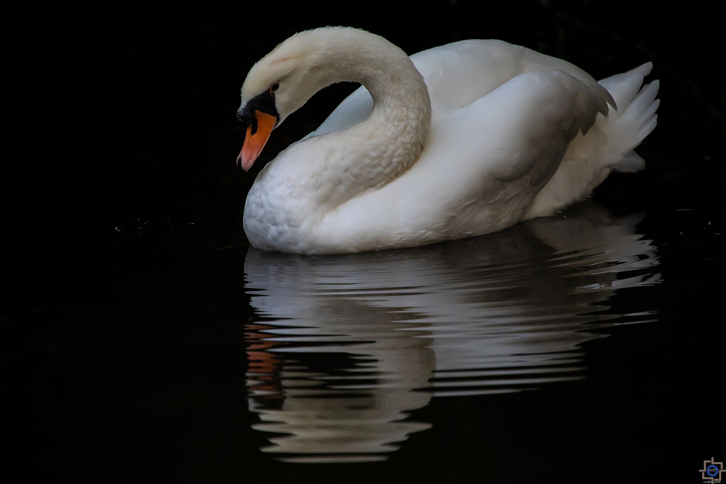 Just wake up in the mirror