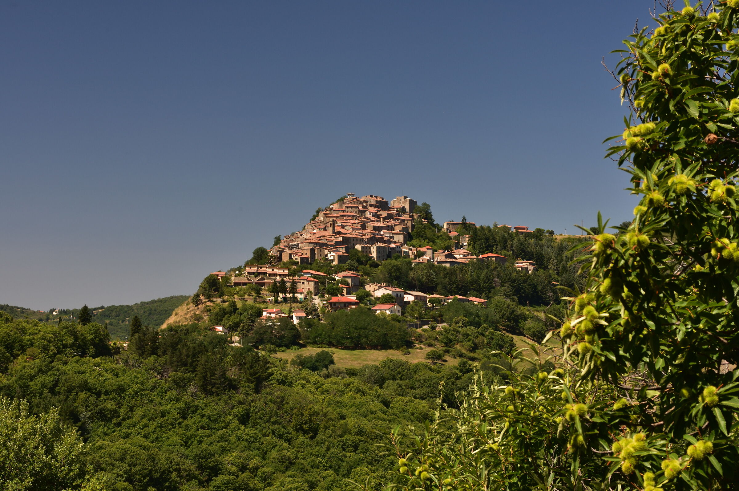 Arrocco in collina