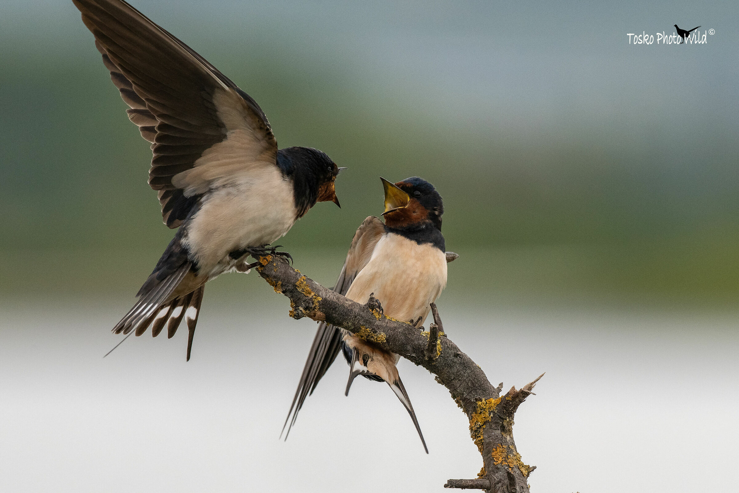 .... this place is mine!!