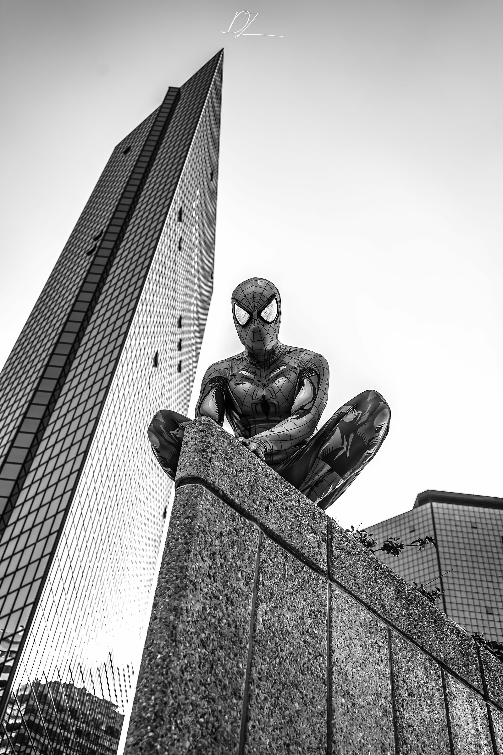 Spiderman comic style