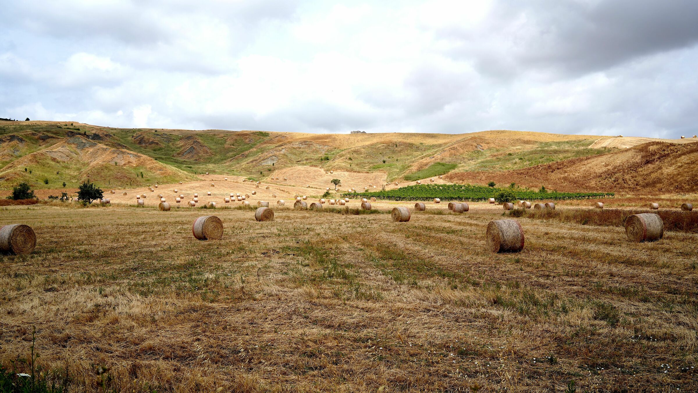 La valle delle balle di fieno.
