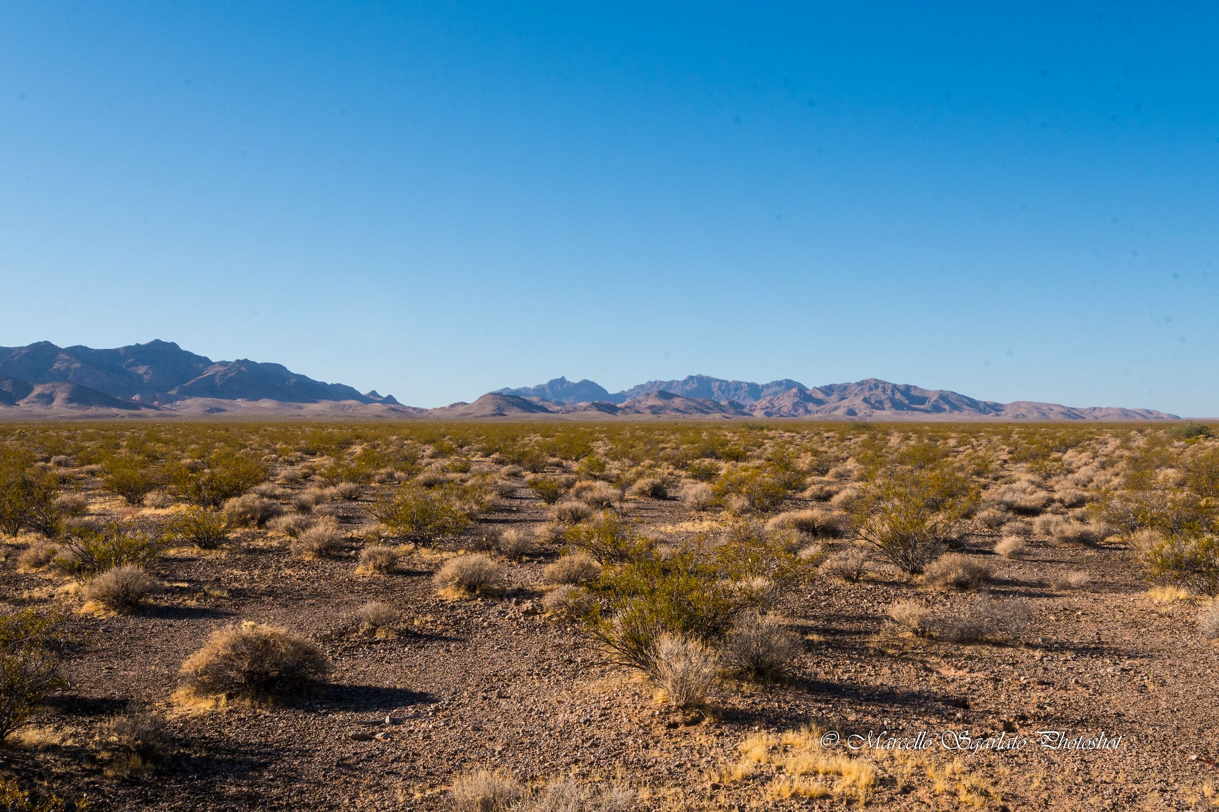 Paesaggio nel Mojave Desert