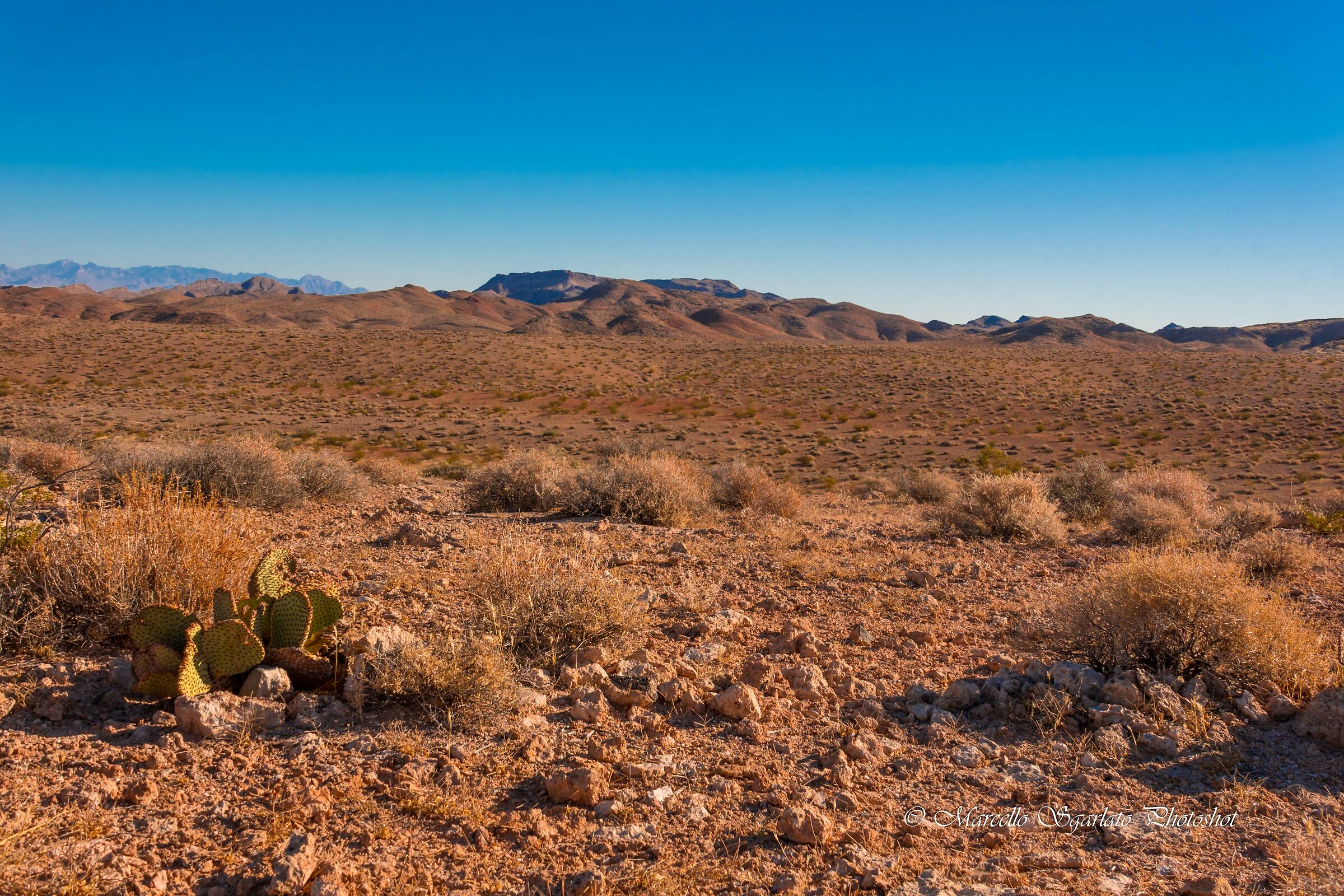 Paesaggio nel Mojave Desert