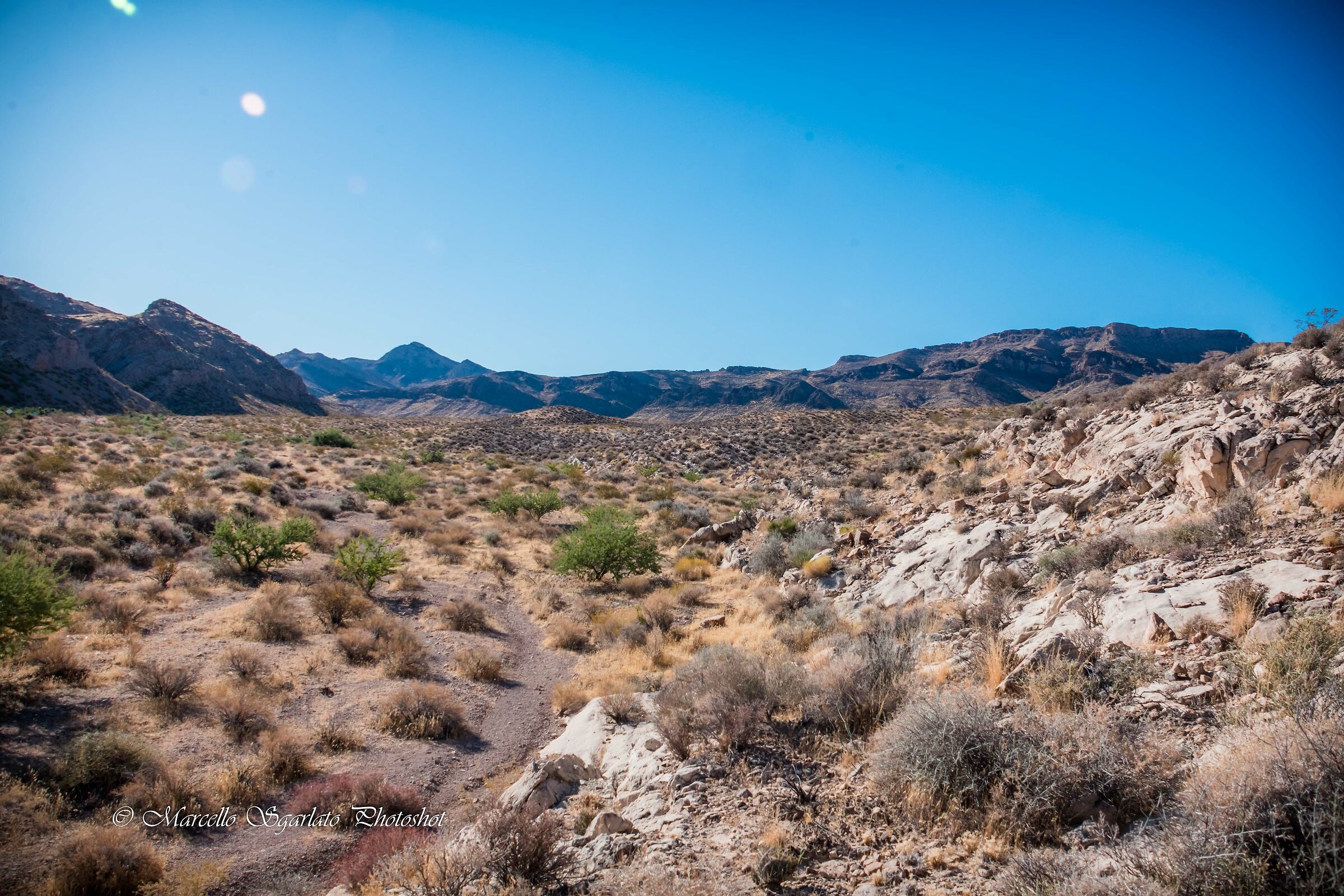 Paesaggio nel Mojave Desert