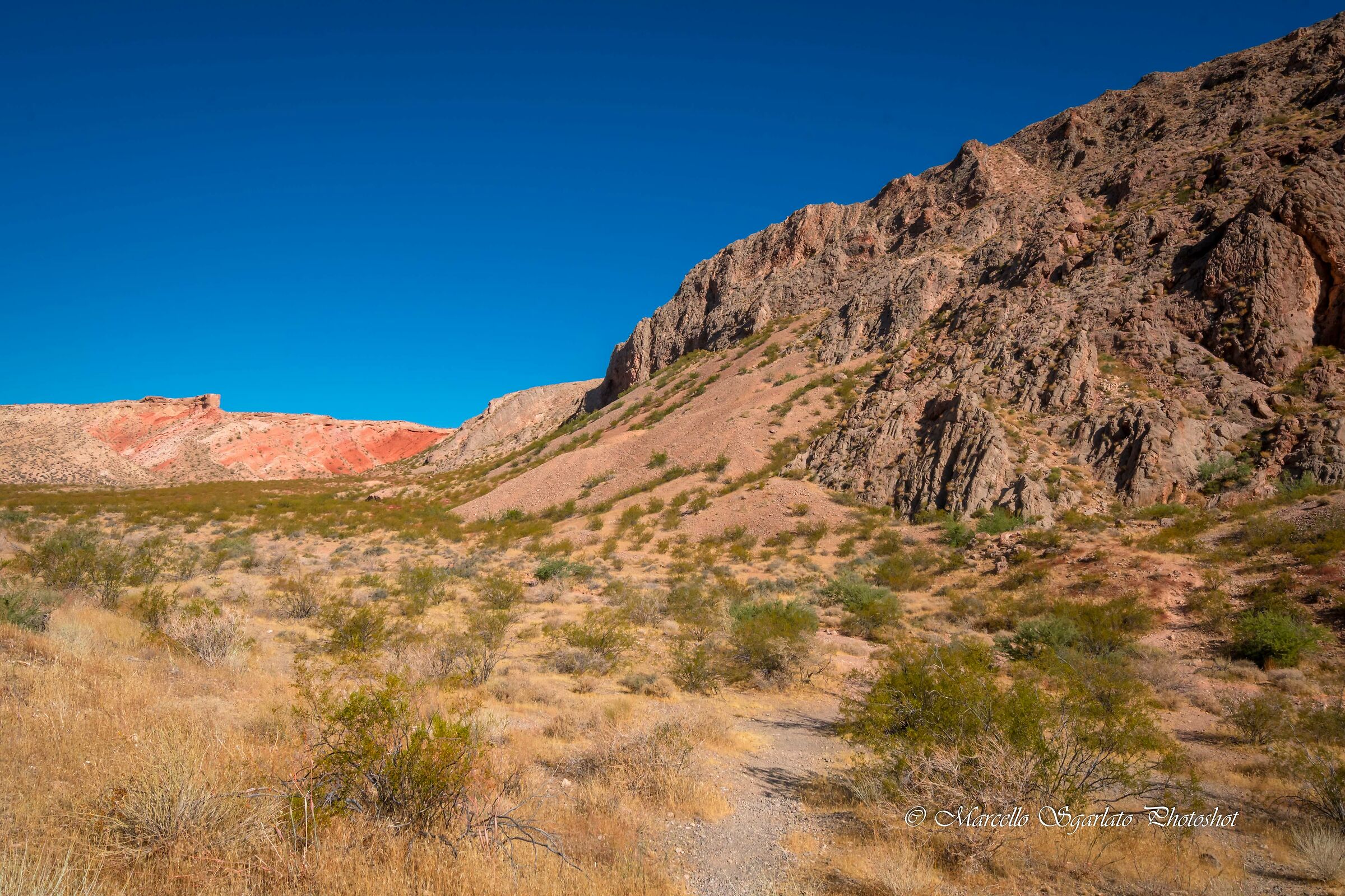 In the Valley of Fire
