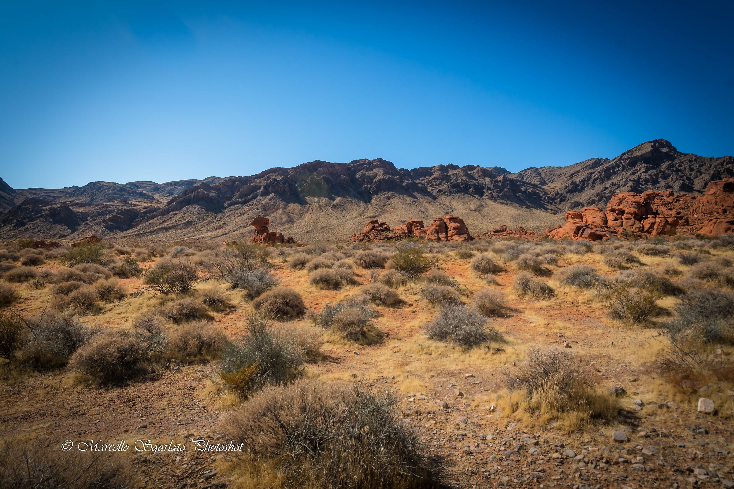 In the Valley of Fire