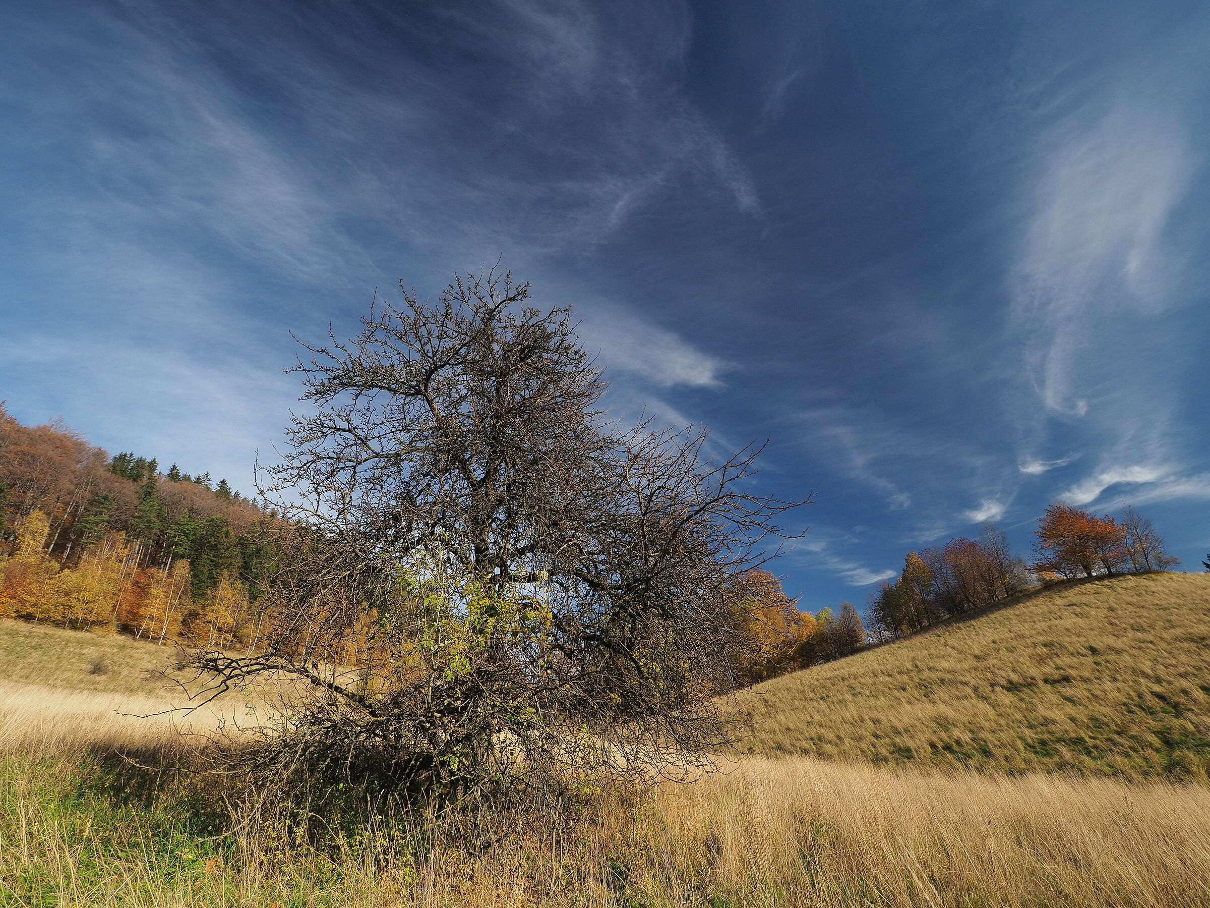 Il sentiero per Chelmiec 1