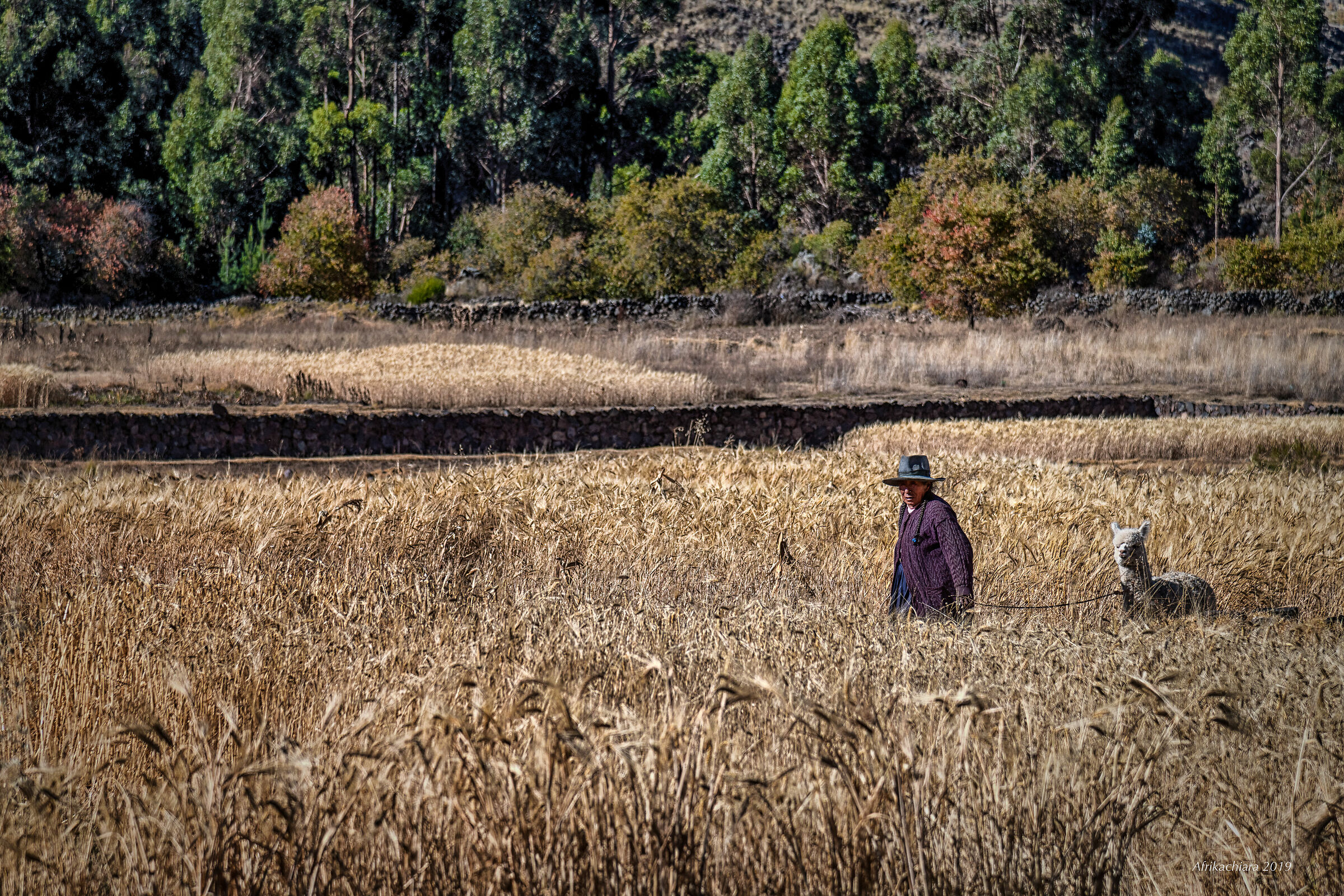 Non è una passeggiata