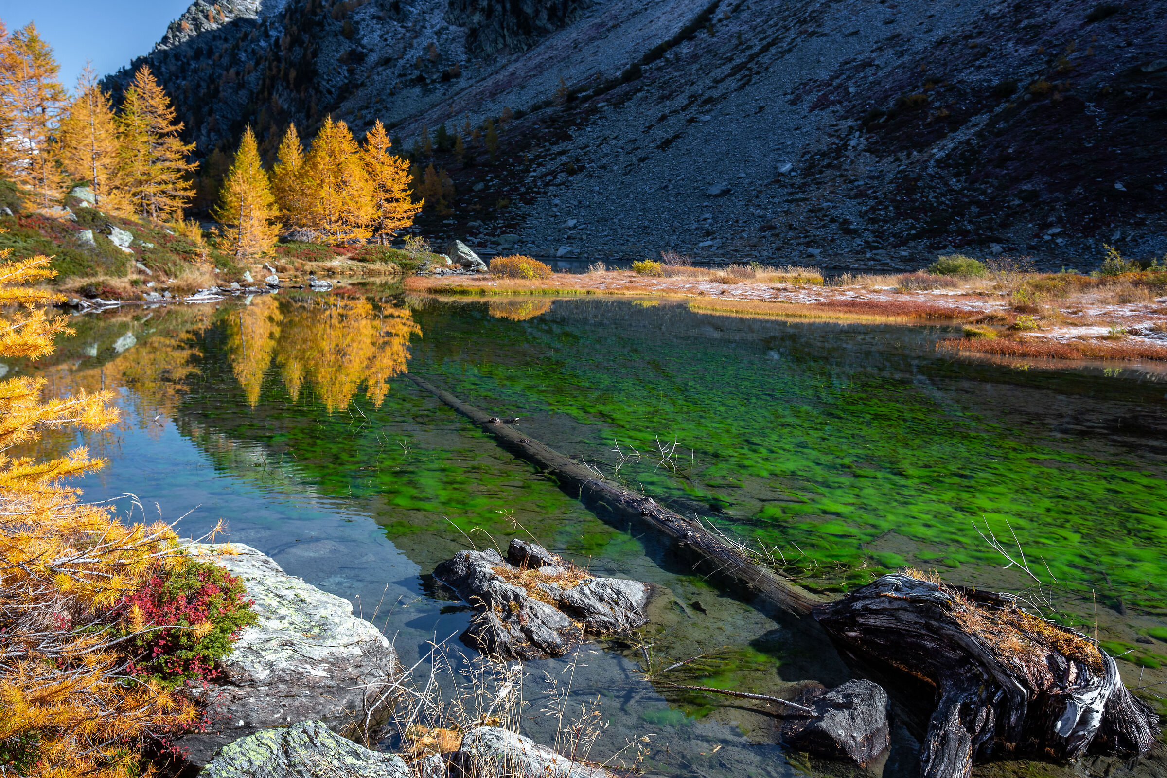 Un angolo di paradiso.