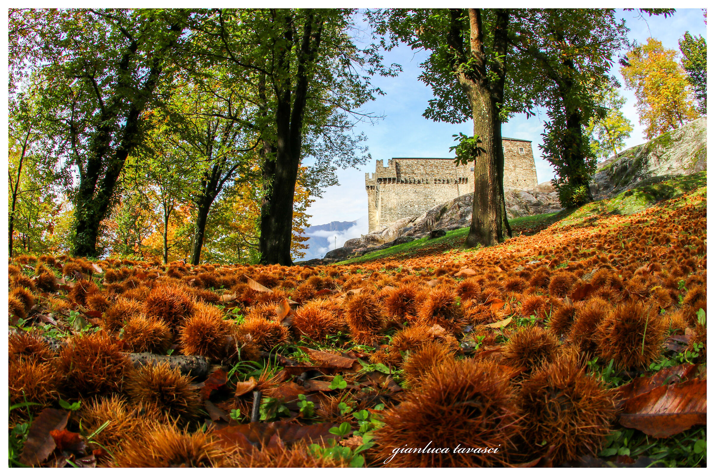 I colori dell'autunno