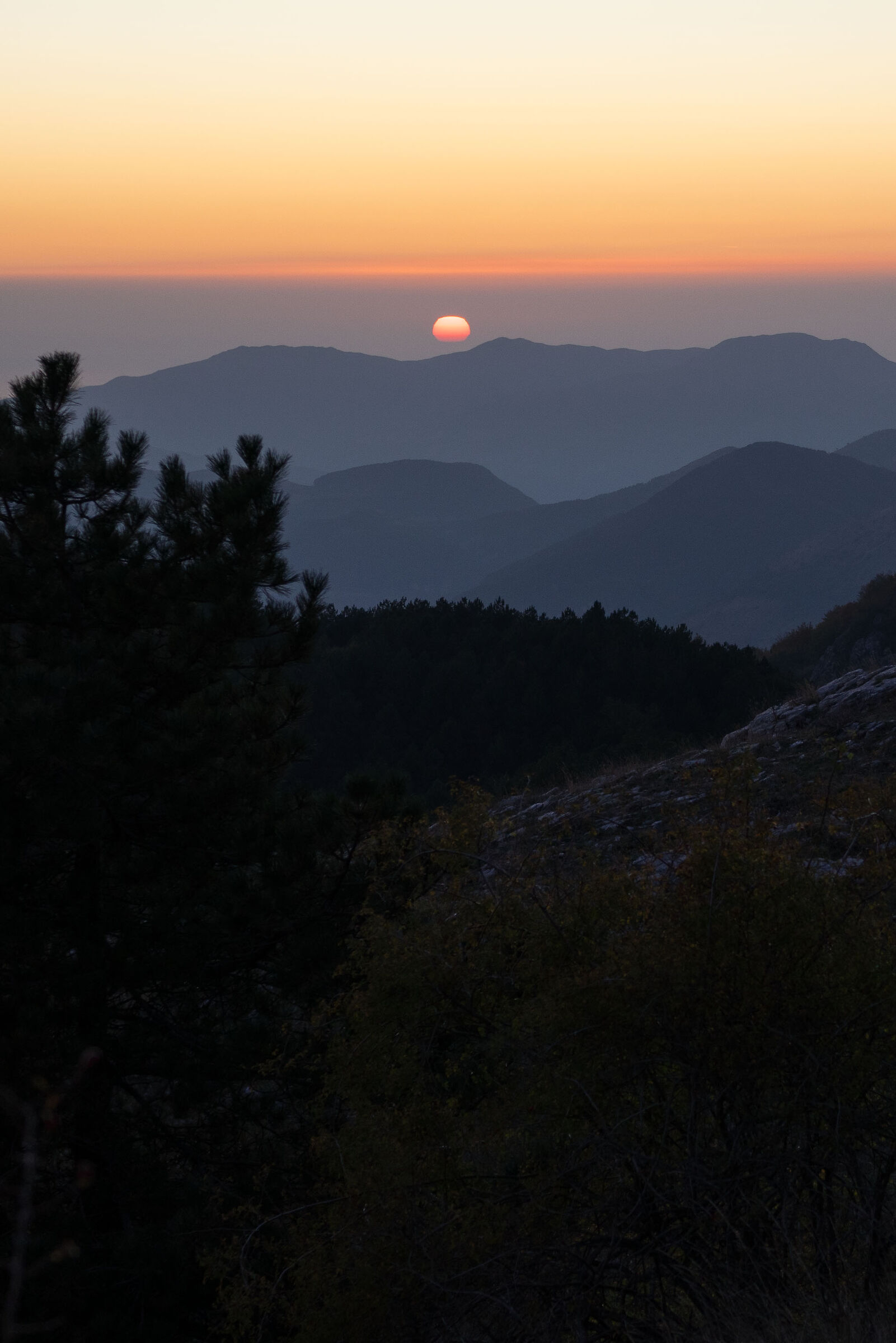End of excursion (Pollino Park)