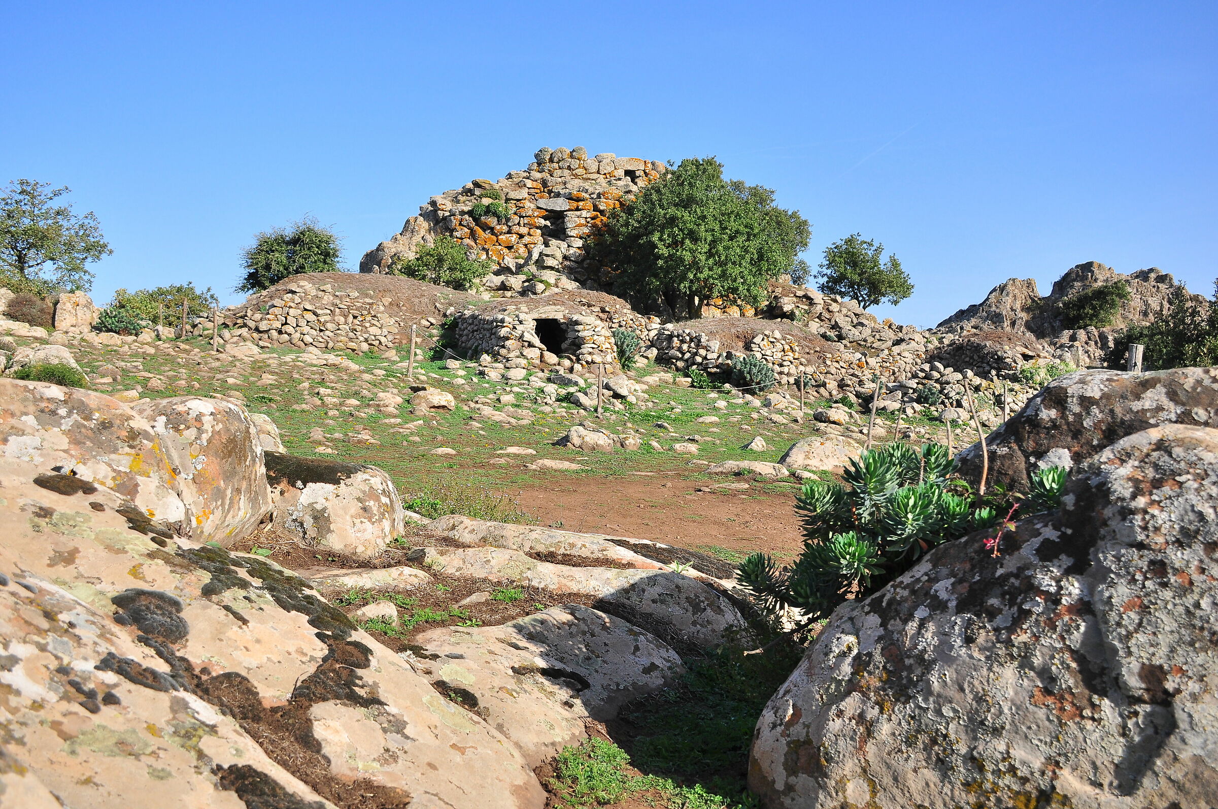 Nuraghe Tamuli