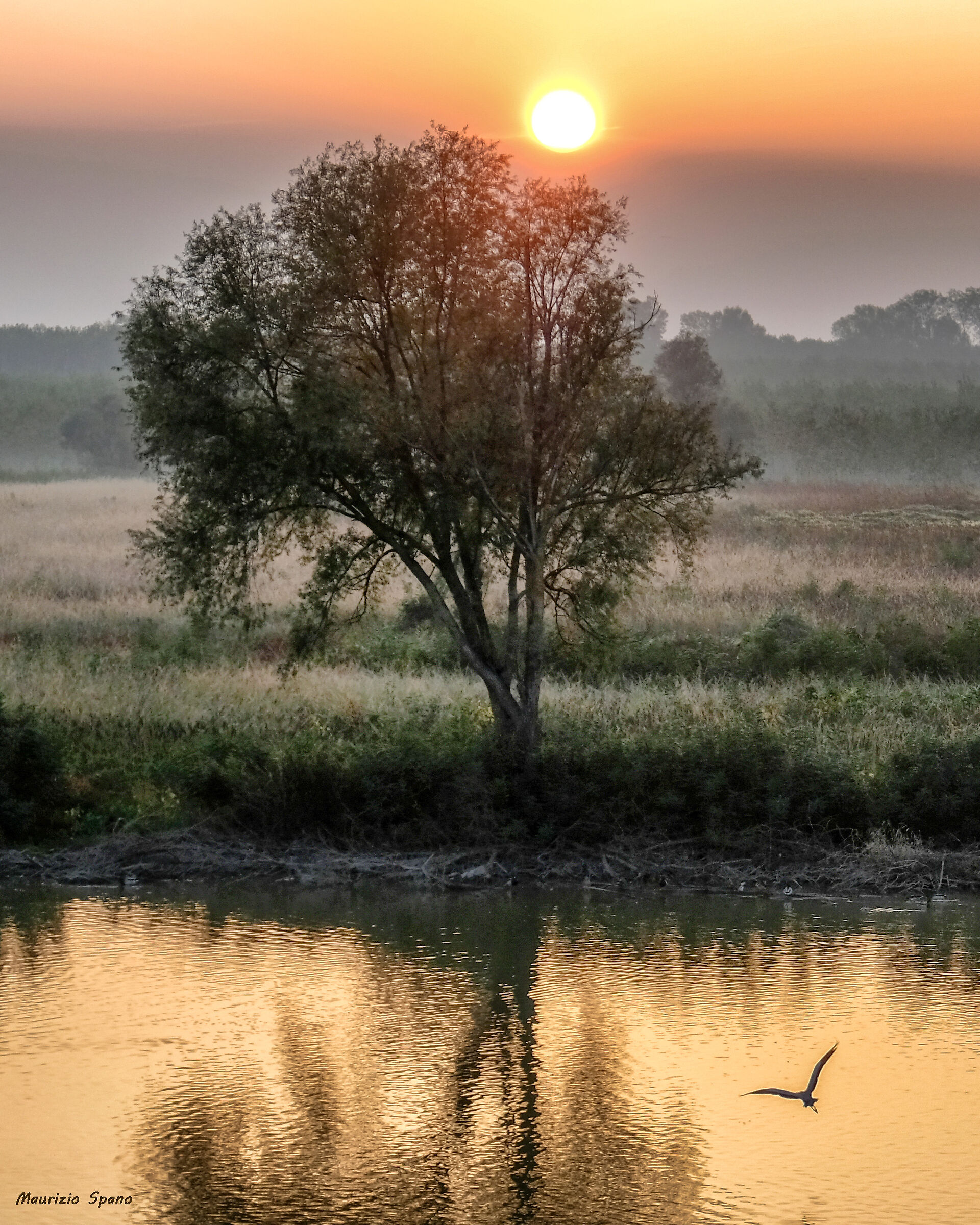 Magico Delta del Po...