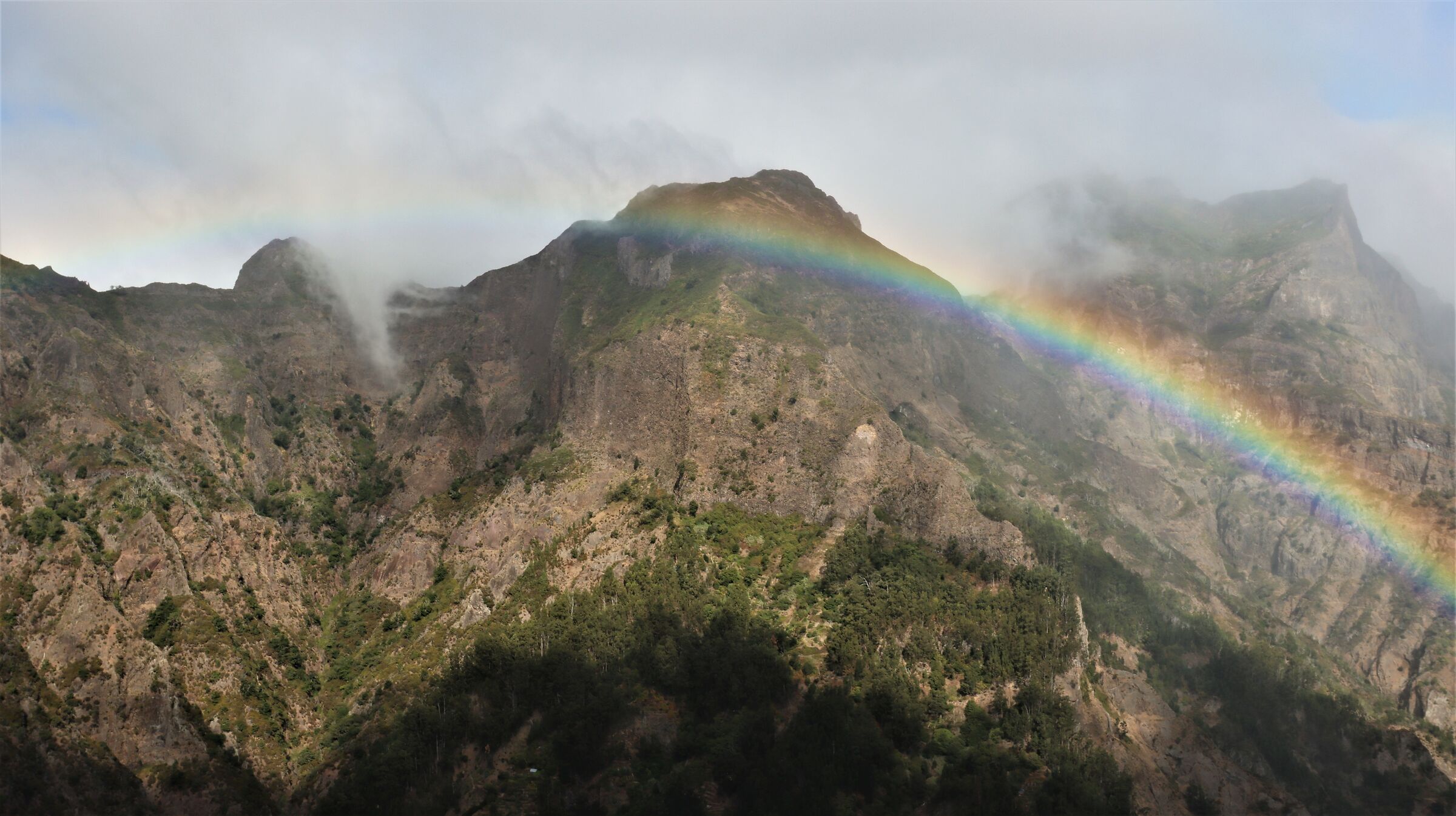 Canon Eos 90D Test Shots