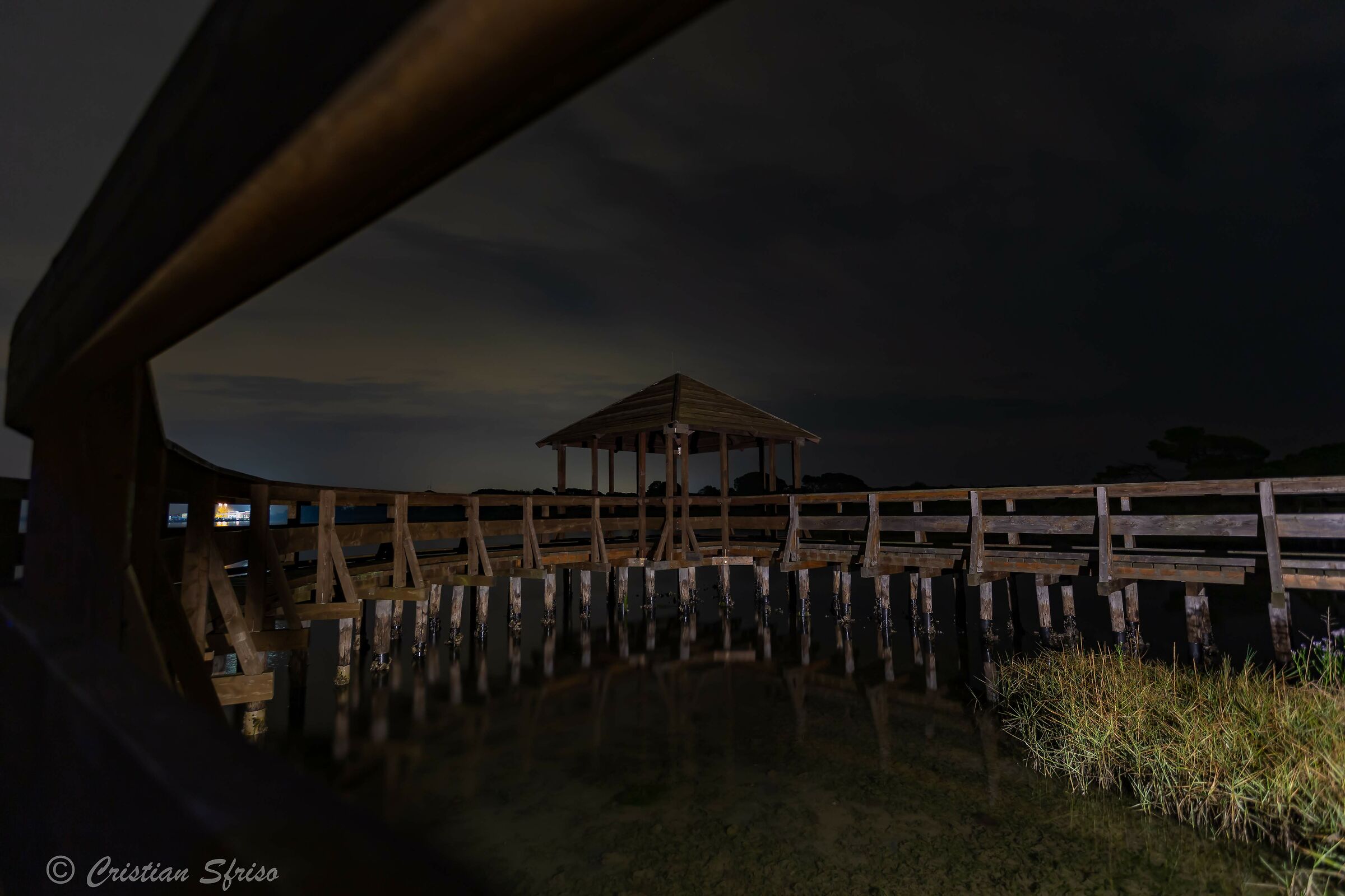 Perspectives... Botanical Garden