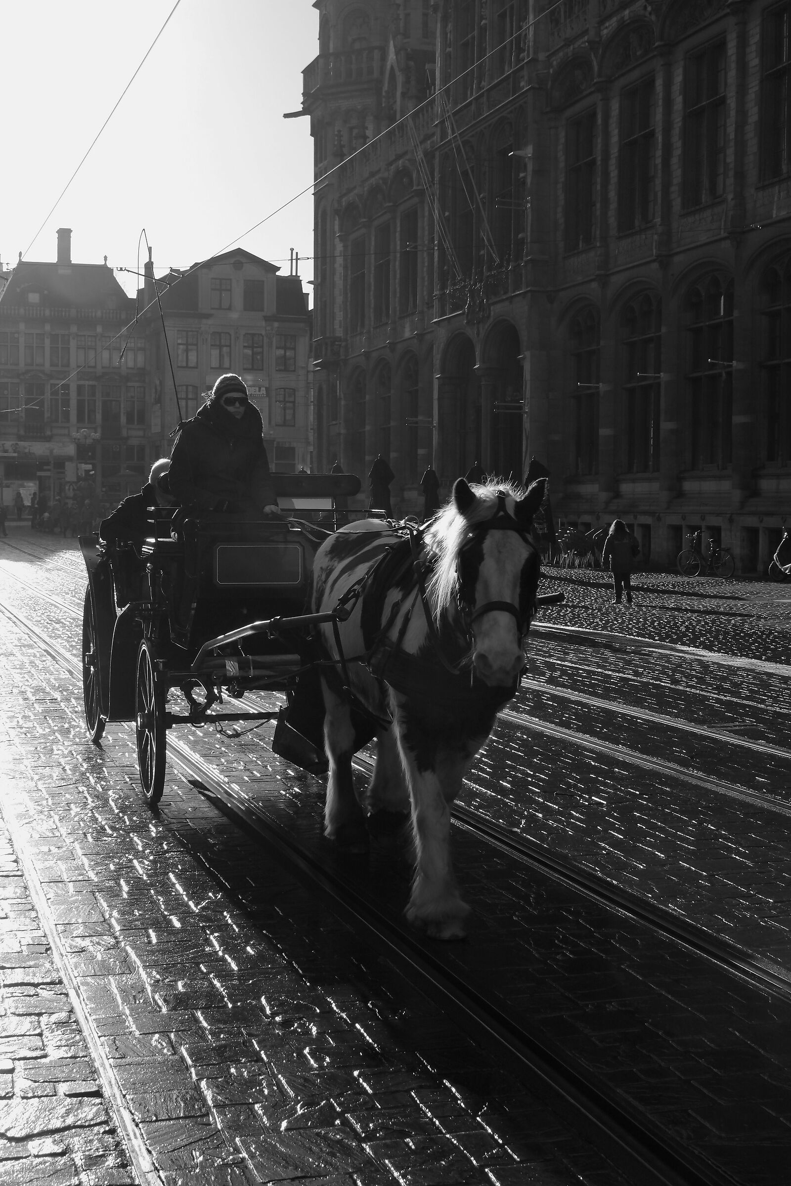 Passeggiando per Gand e Bruges