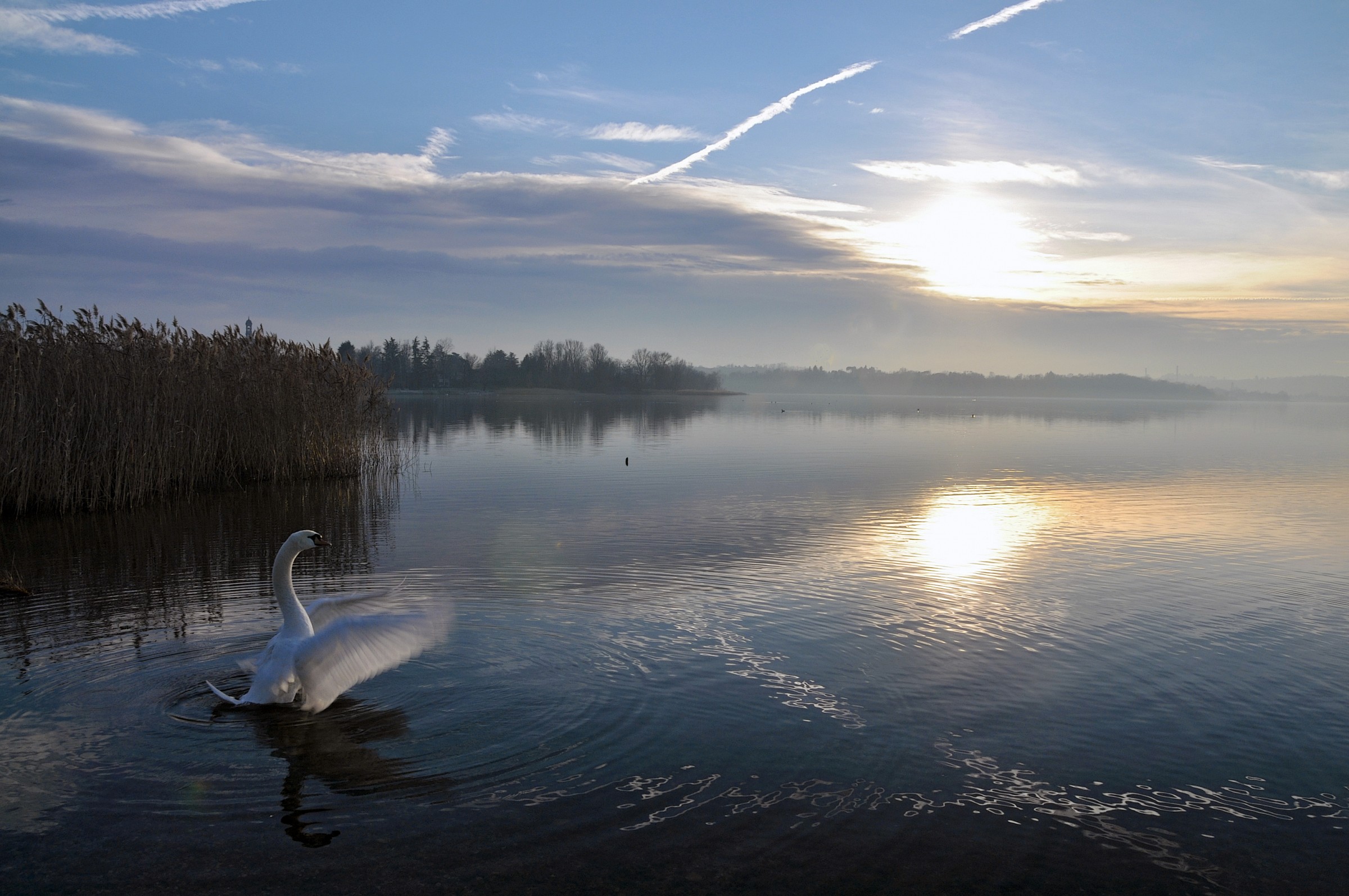 Il Canto Del Cigno - Revisited