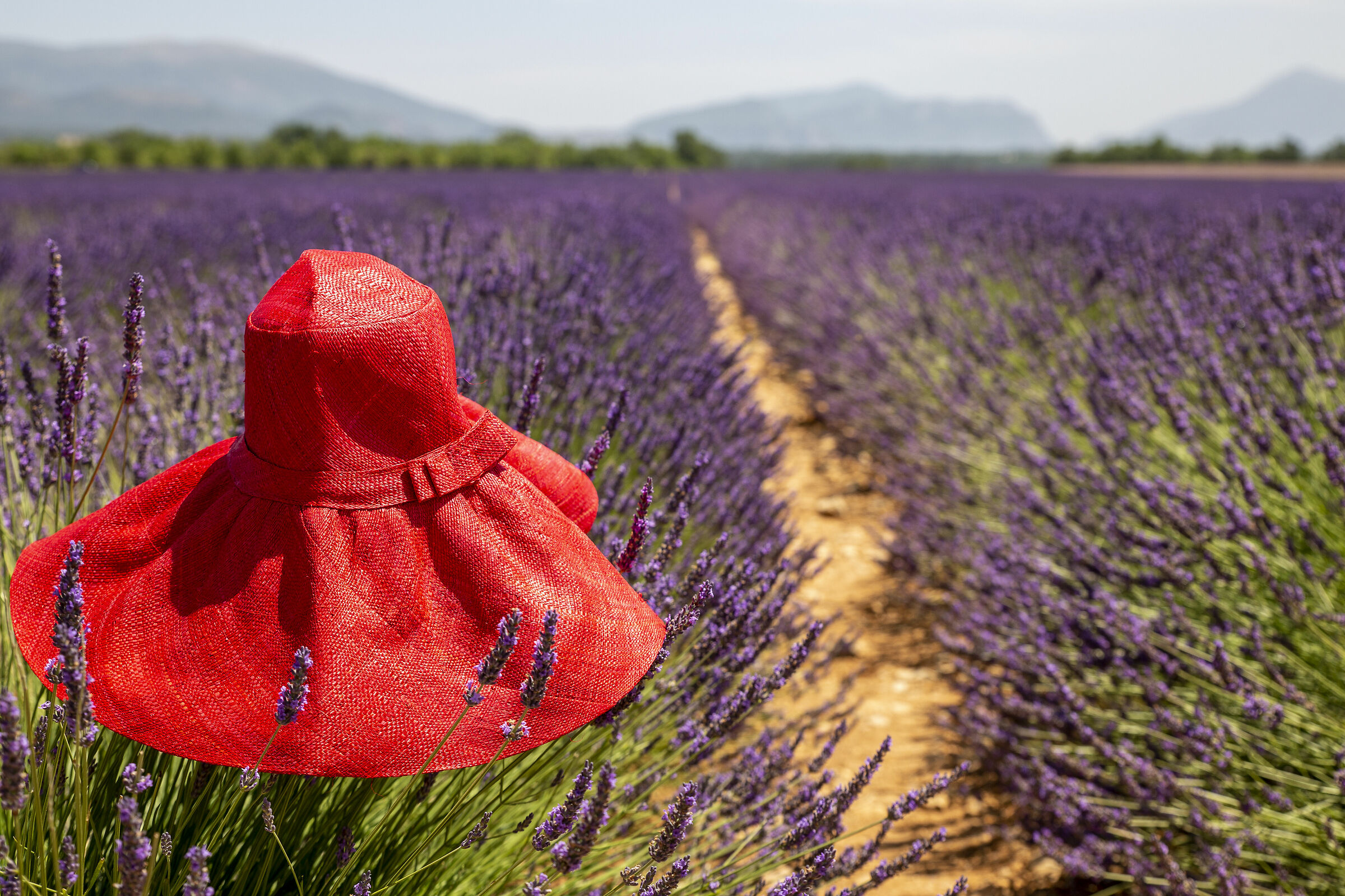 Valensole France
