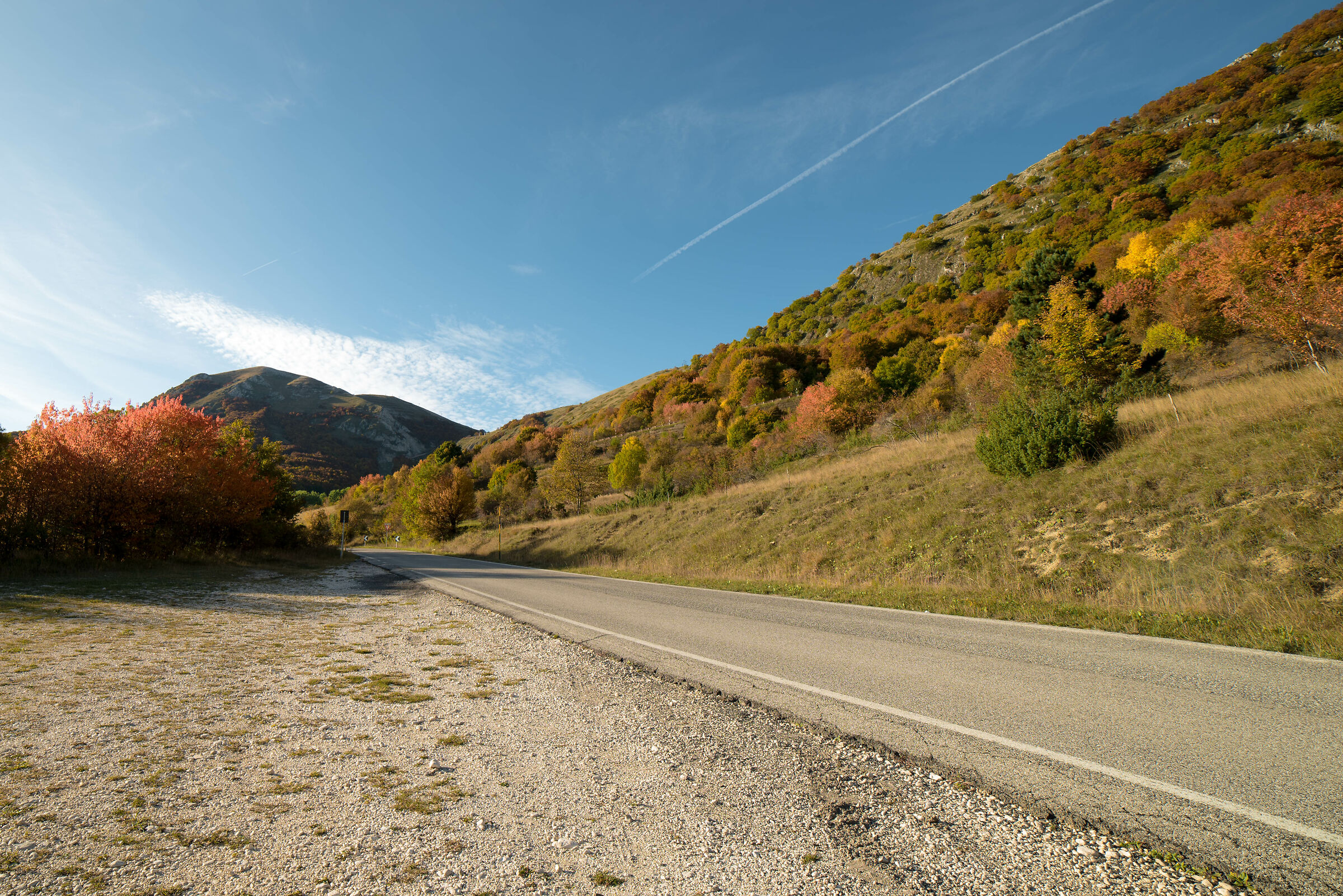 Foliage at Rock of Change
